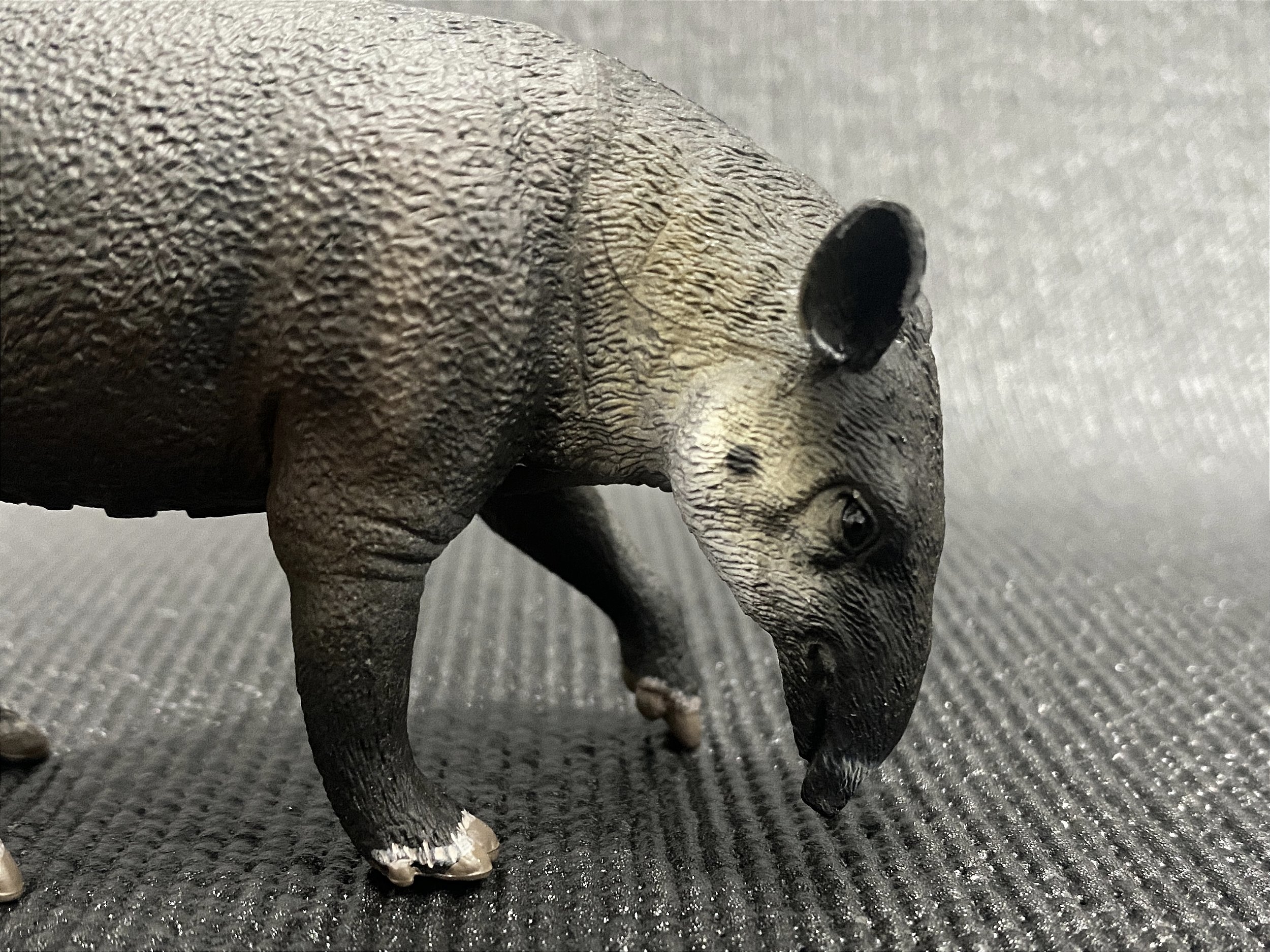 Collecta – Figura De Lémur De Cola Anillada – Modelo M (88831) – Figura Realista De Animal Para Coleccionistas