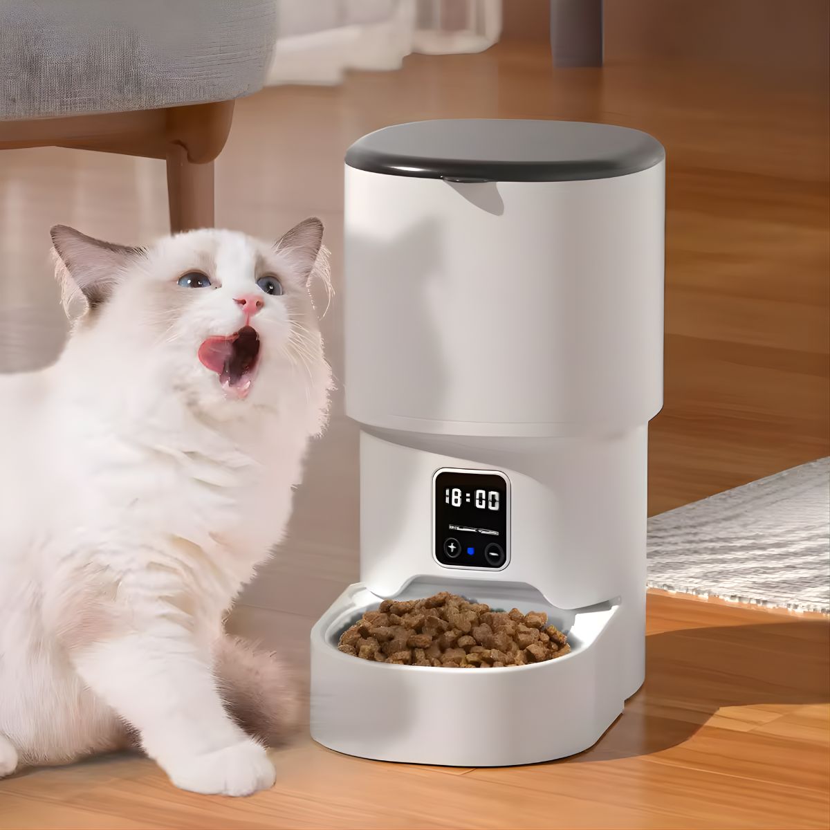 Alimentador Automático Pet 4L Programável Dispensador Ração Gatos ...