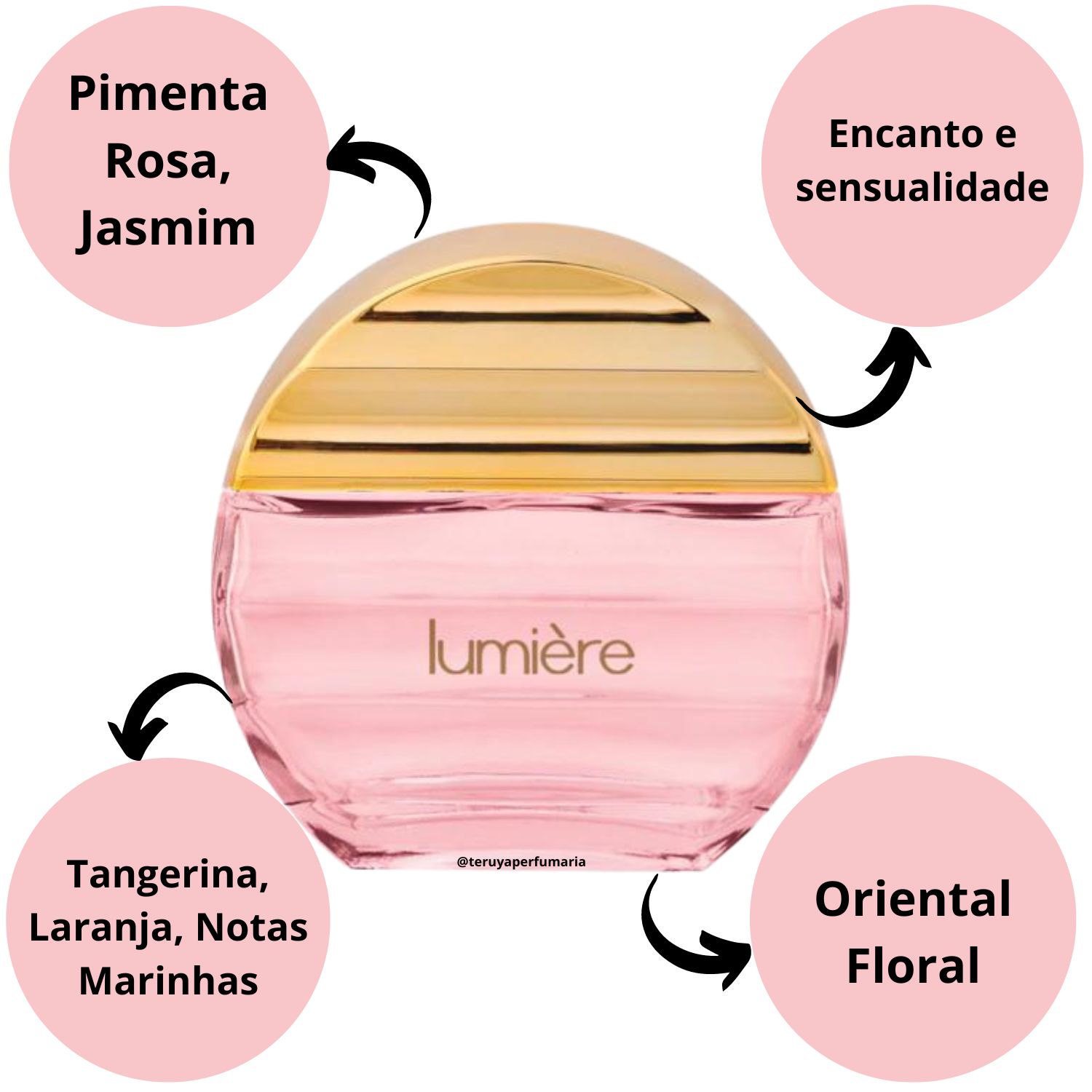 Deo Colônia Fiorucci Lumière 75ml - Teruya - Cosméticos e Perfumaria