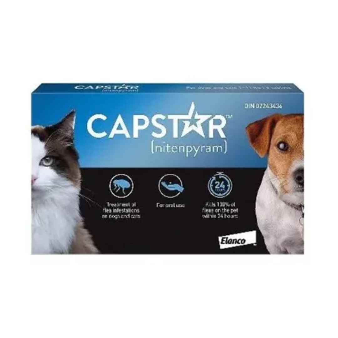 Capstar 11,4mg Para Cães E Gatos Até 11,4 Kg 1 Comprimido - Império Rações