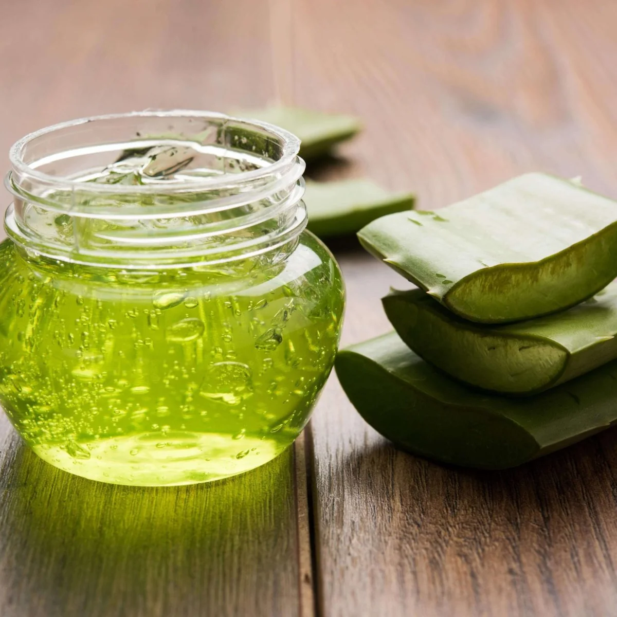 BABOSA (Aloe vera) - Pote 11 - Rebrotar Plantas