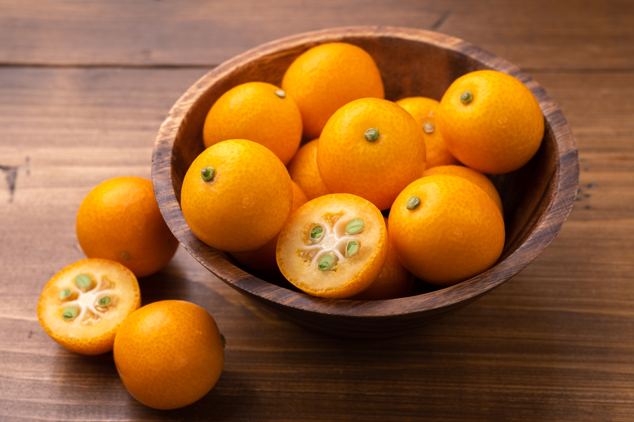 LARANJA KINKAN DOCE (Fortunella japonica) - Muda Enxertada com até