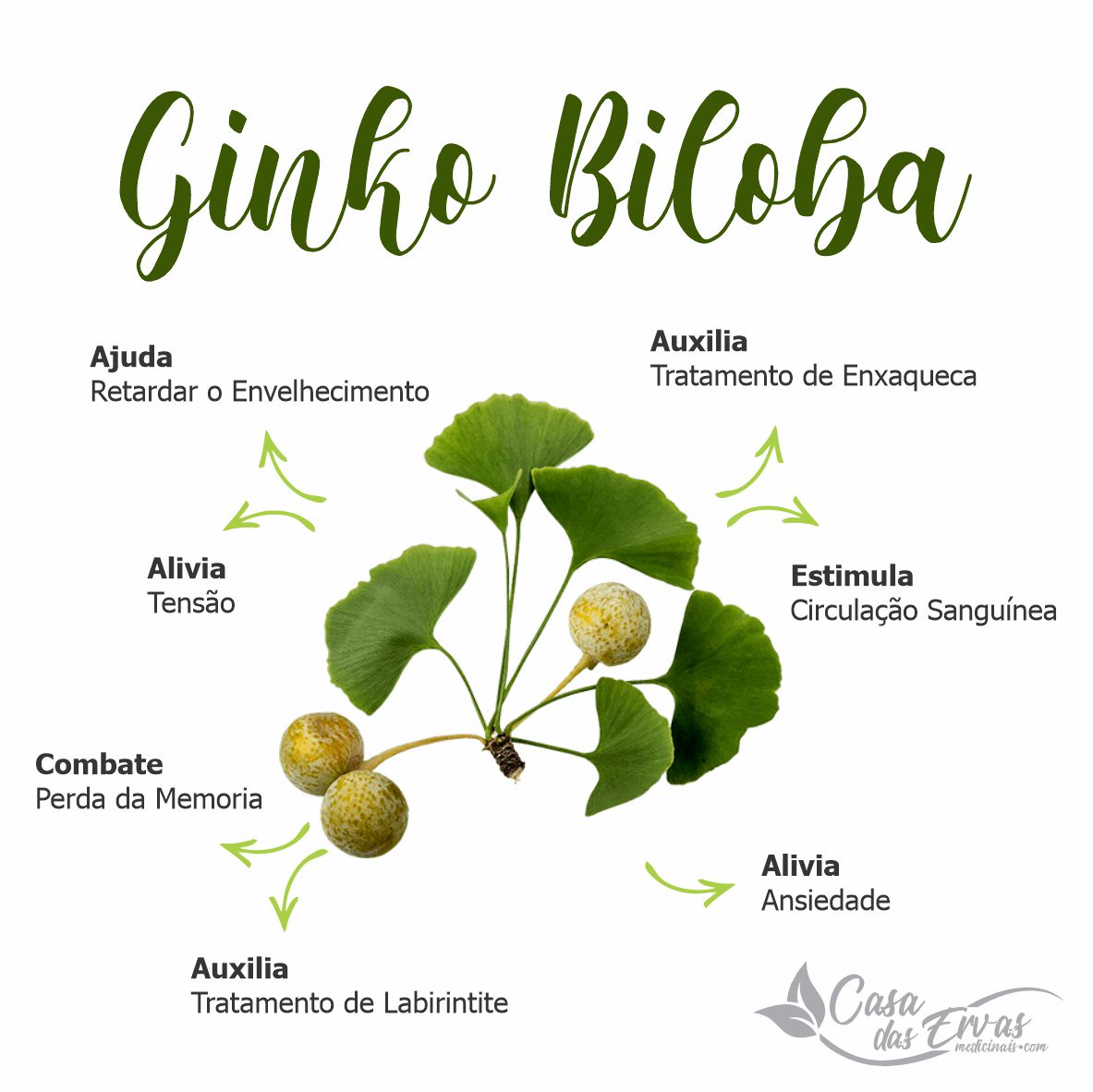 Ginkgo Biloba com Ginseng - 120 Cápsulas - 500 MG - Casa das Ervas ...