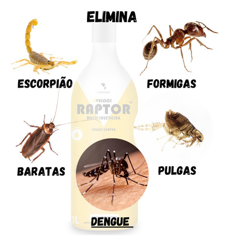 Raptor Insecticide Raptor Multi-Inseticida | Mata Escorpiões, Baratas, Pulgas e Mosquitos ...
