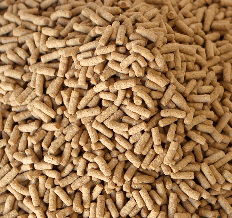 ALCON CLUB HEDGEHOG 350G - Alcon Shopping