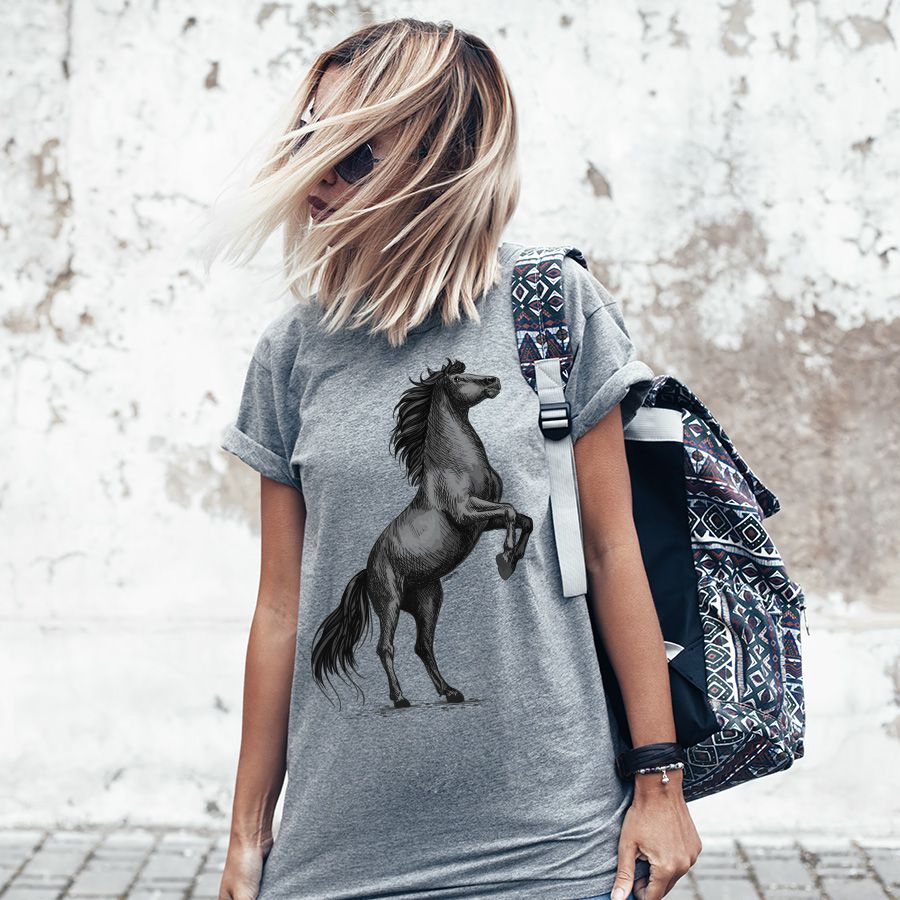 Quadro Cavalo - Modelo 3 - Cão Bandido - Camisetas de Cachorro  Personalizadas e Criativas