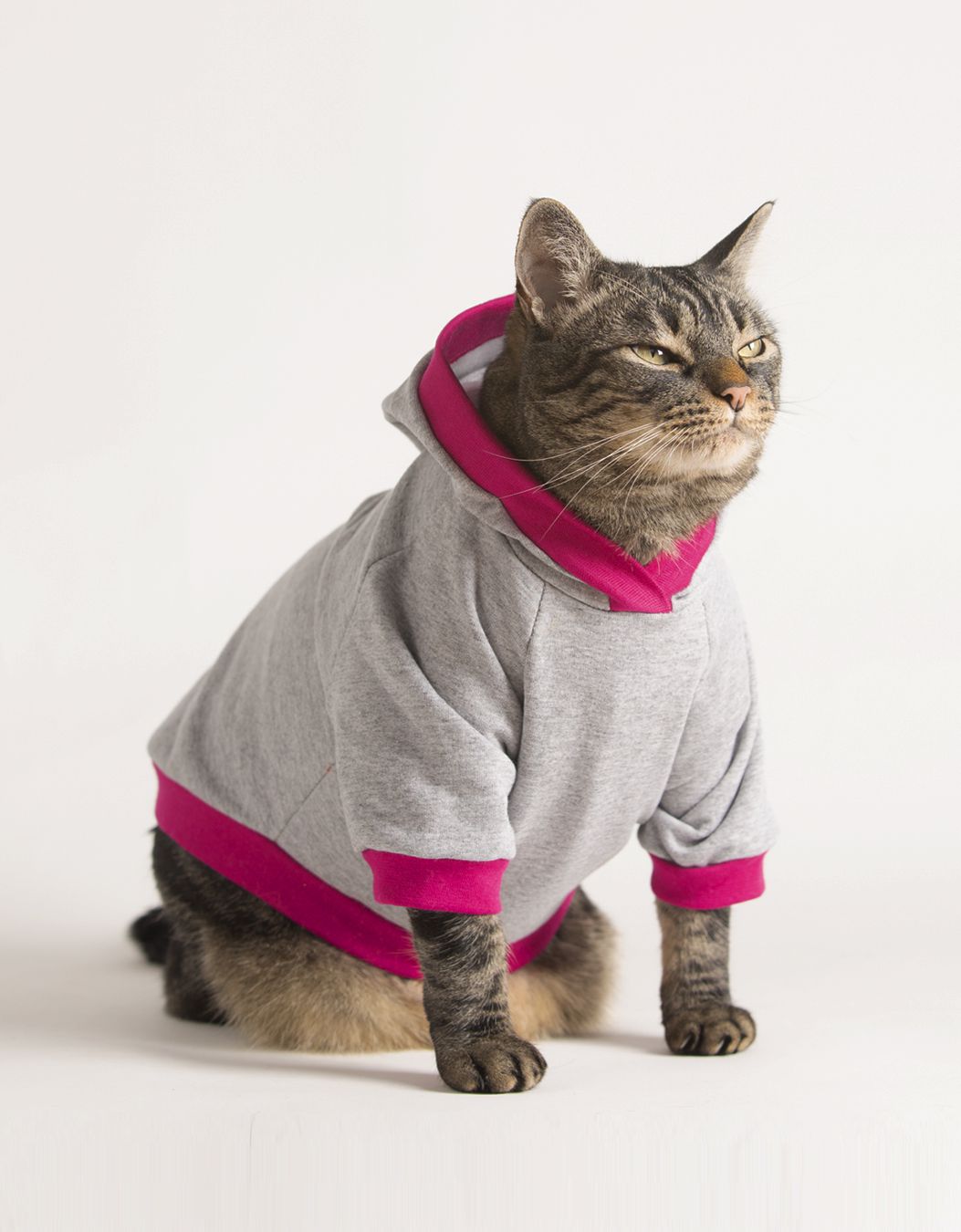 Moletom para gatos cor cinza e rosa | Cansei de ser gato - Cansei de ...