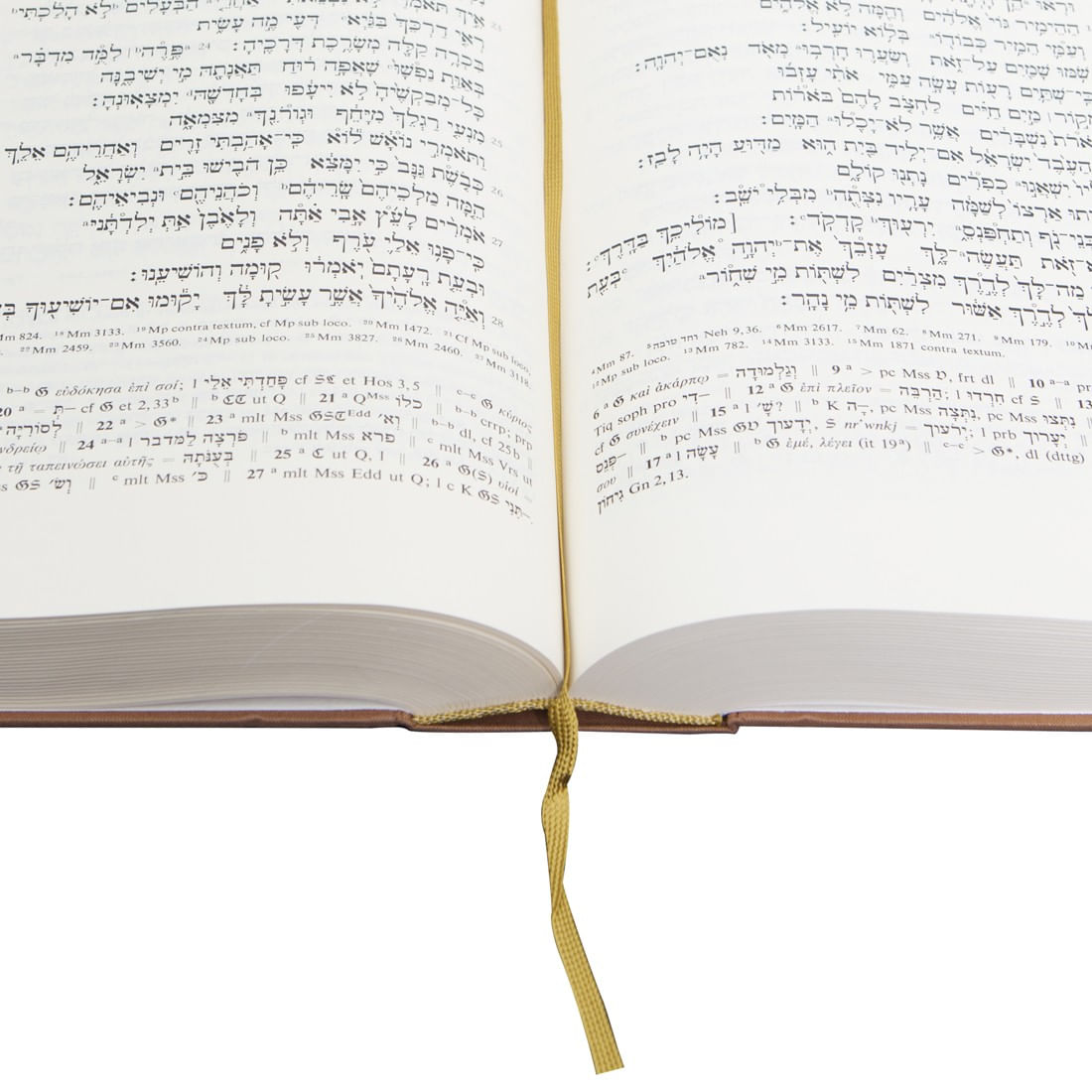 BIBLIA HEBRAICA STUTTGARTENSIA ビルリアヘブライカ Biblia Hebraica Stuttgartensia 2020 Compact Hardcover