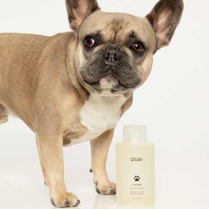 Ouai Pet Shampoo Consumos da Martina