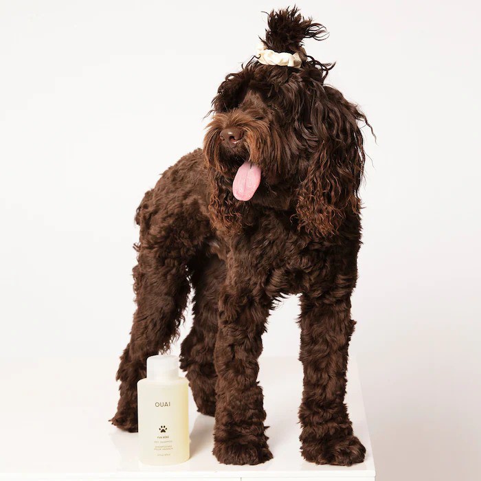Ouai Pet Shampoo Consumos da Martina