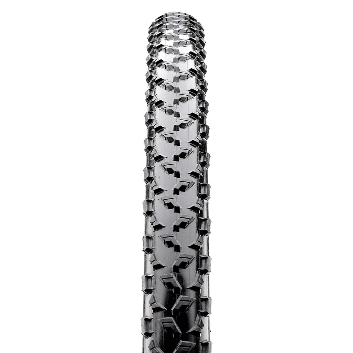 Pneu de cyclocross Maxxis Speed Terrane Tubeless 700x33 noir
