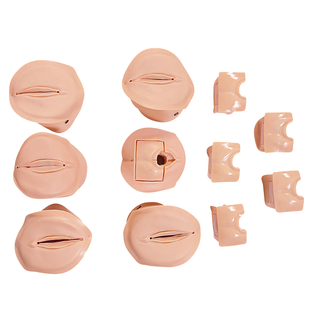 MedEduQuest Simulatore di Episiotomia e Sutura, Trainer per la Riparazione Perineale, Modello di Episiotomia e Sutura, Modello di Pratica di Sutura Perineale con Incisione della Vulva Femminile