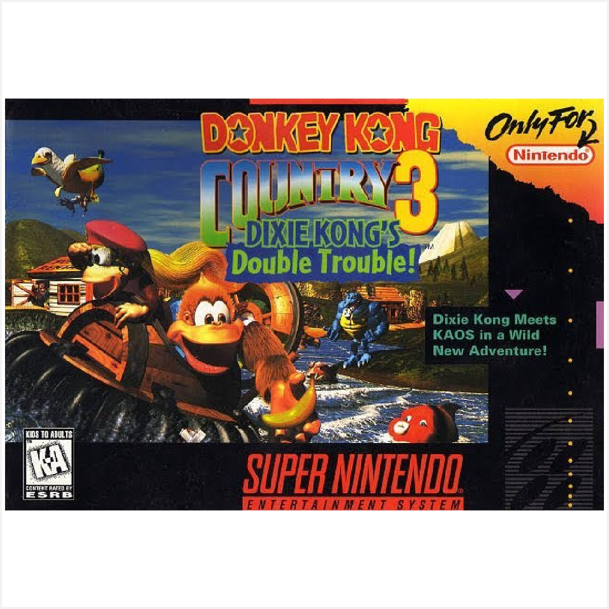Donkey kong country 3 snes new arrivals
