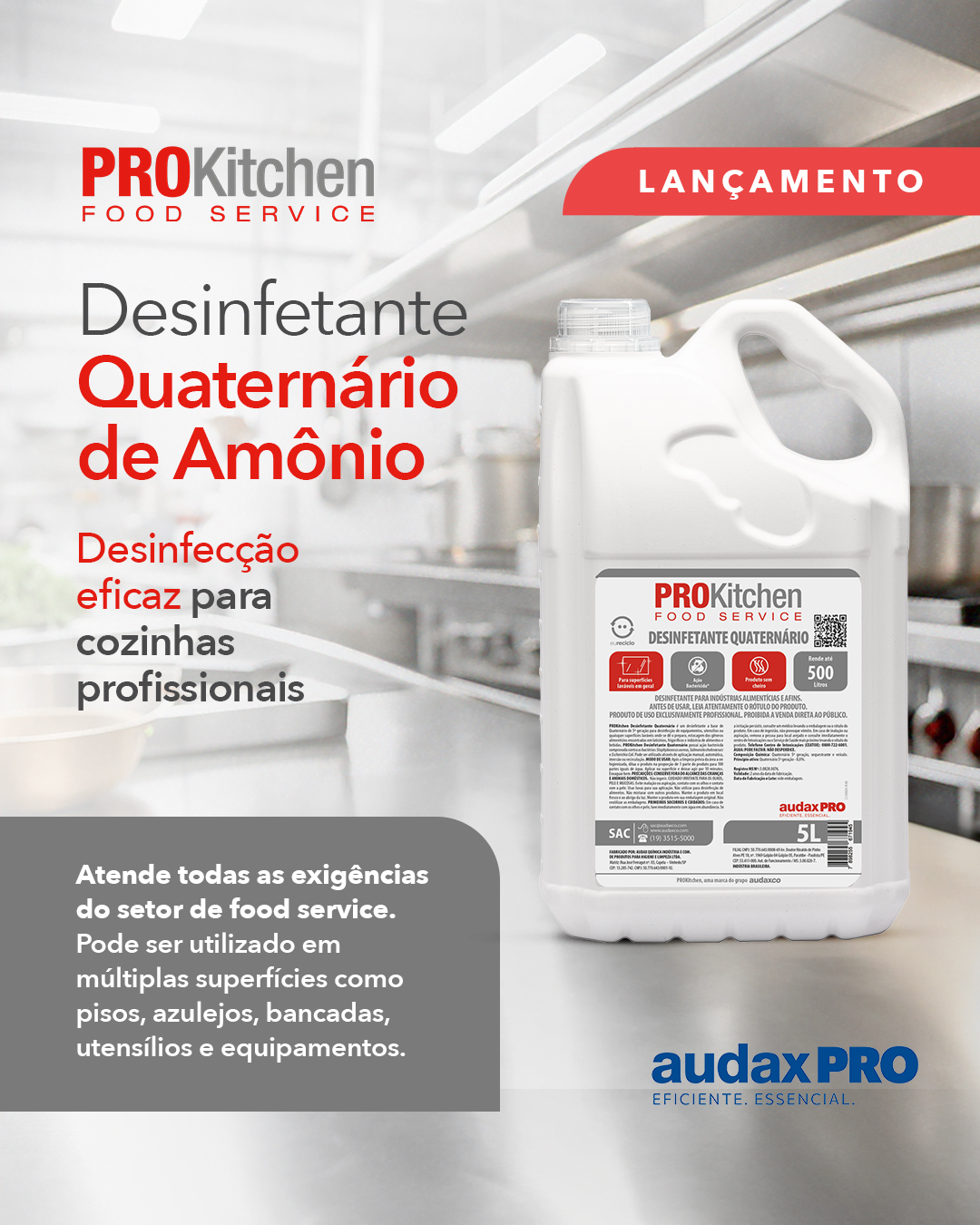 DESCETE　5L Desinfetante ProKitchen 5L Quaternário de 5ª geração - Audax – Uso