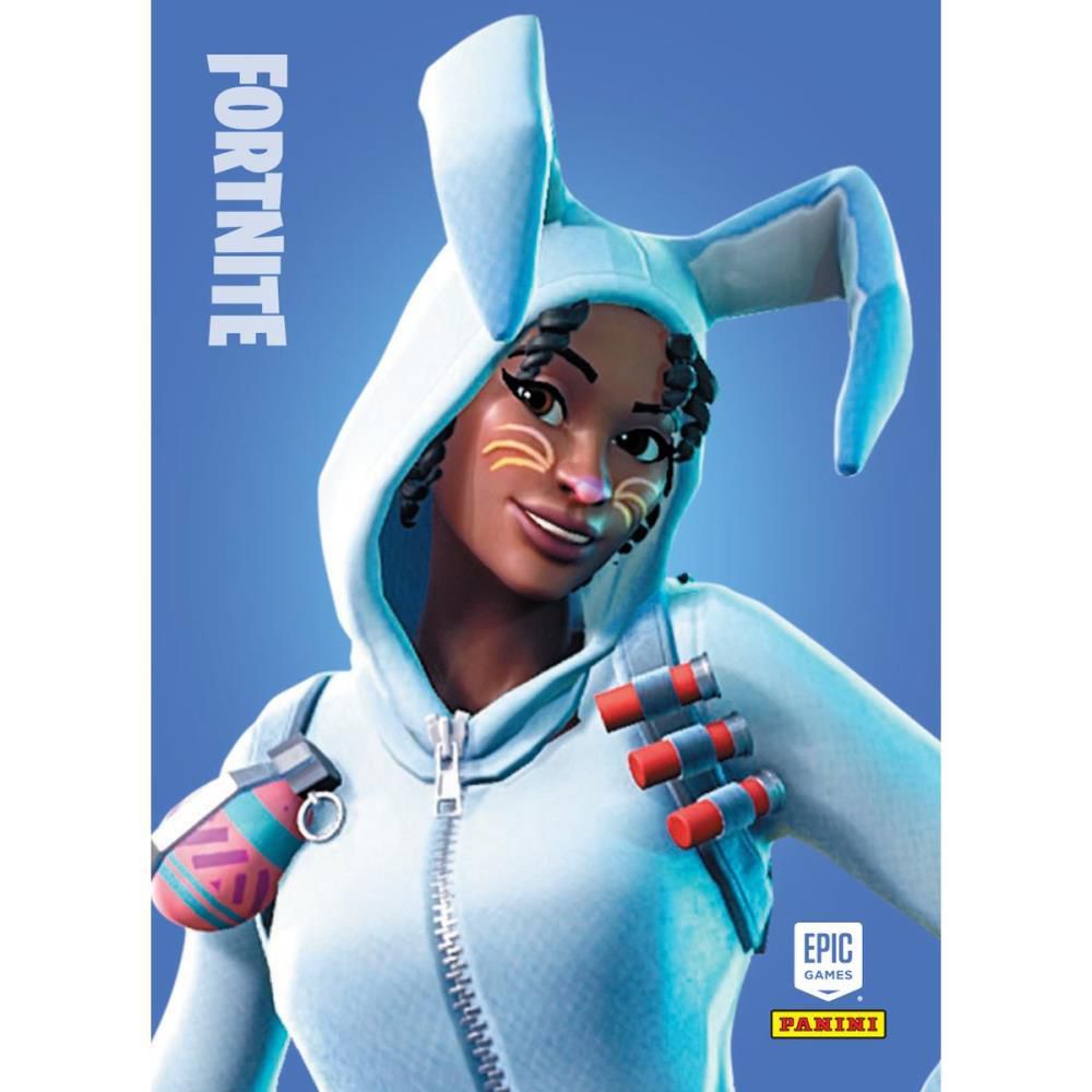 Jogo de Cartas Fortnite Serie 1 ENV.C/6 CARDS - Digital Conveniência ...