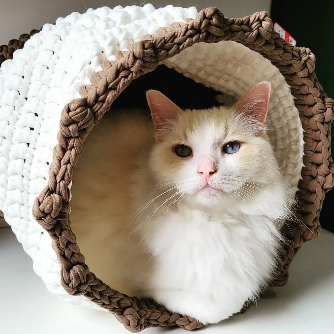 Toca Maxi Crochê para Gatos - Produtos para Gatos Felizes