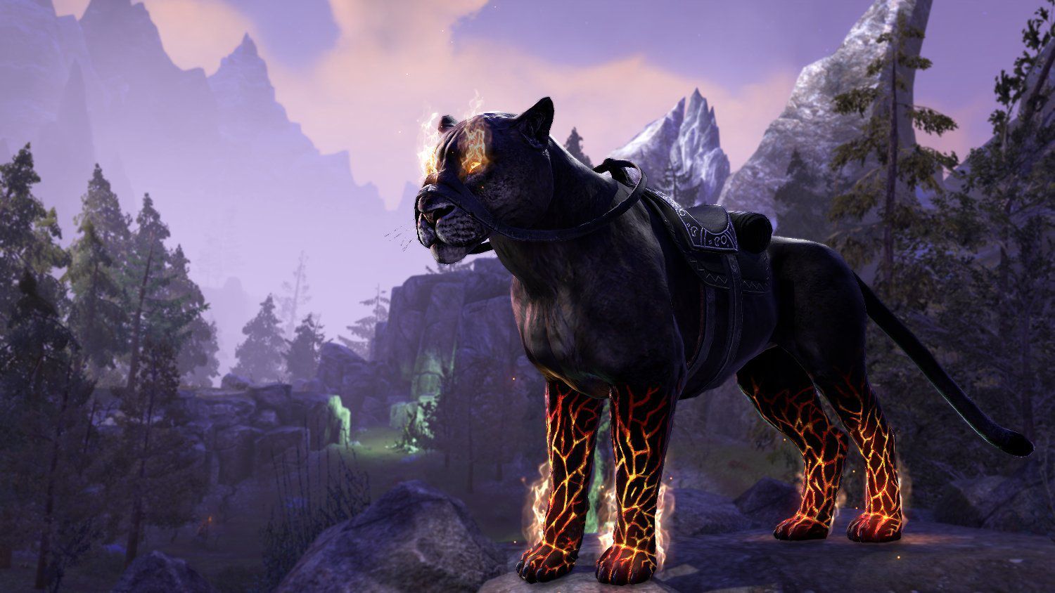 The Elder Scrolls Online Summerset Collectors Edition Xbox One - Game ...