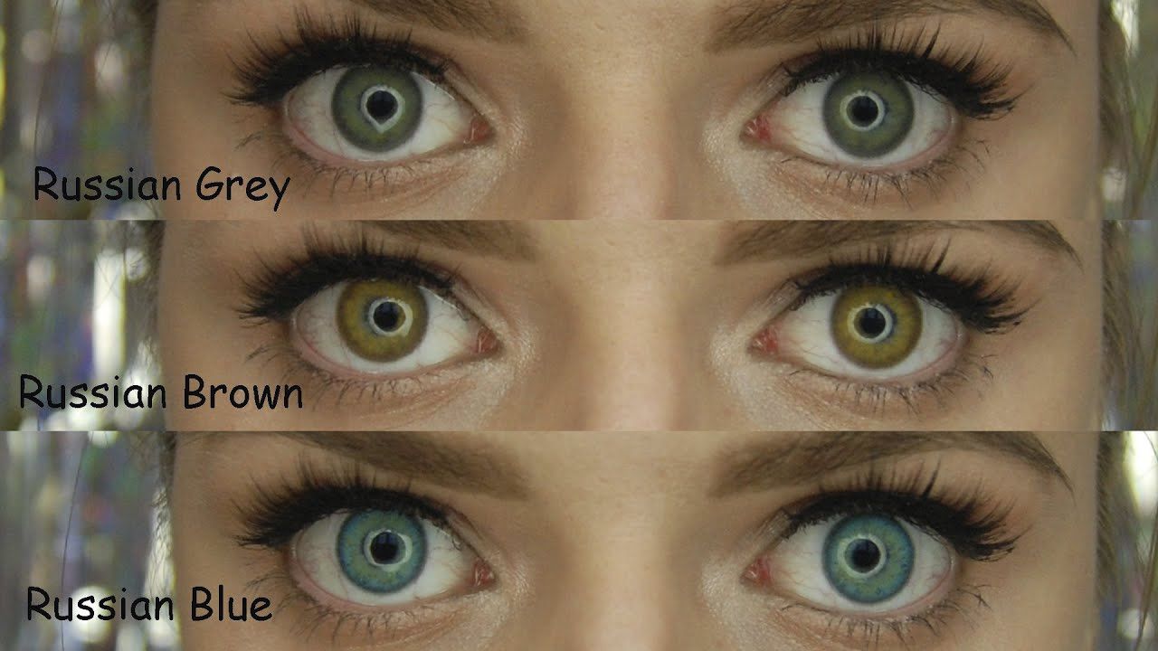 russian gray, freshlady russian, russian cinza, russian gray lens, fre