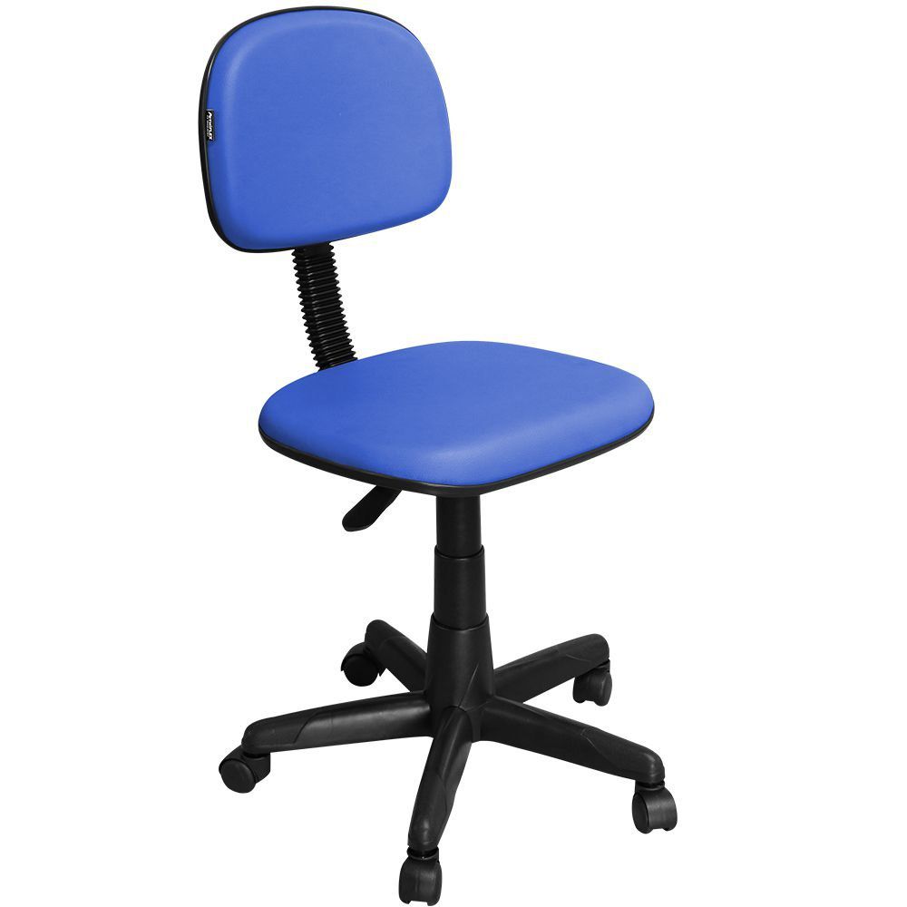 Cadeira Escritório Secretária Azul Giratória com Regulagem de Altura a -  Pethiflex