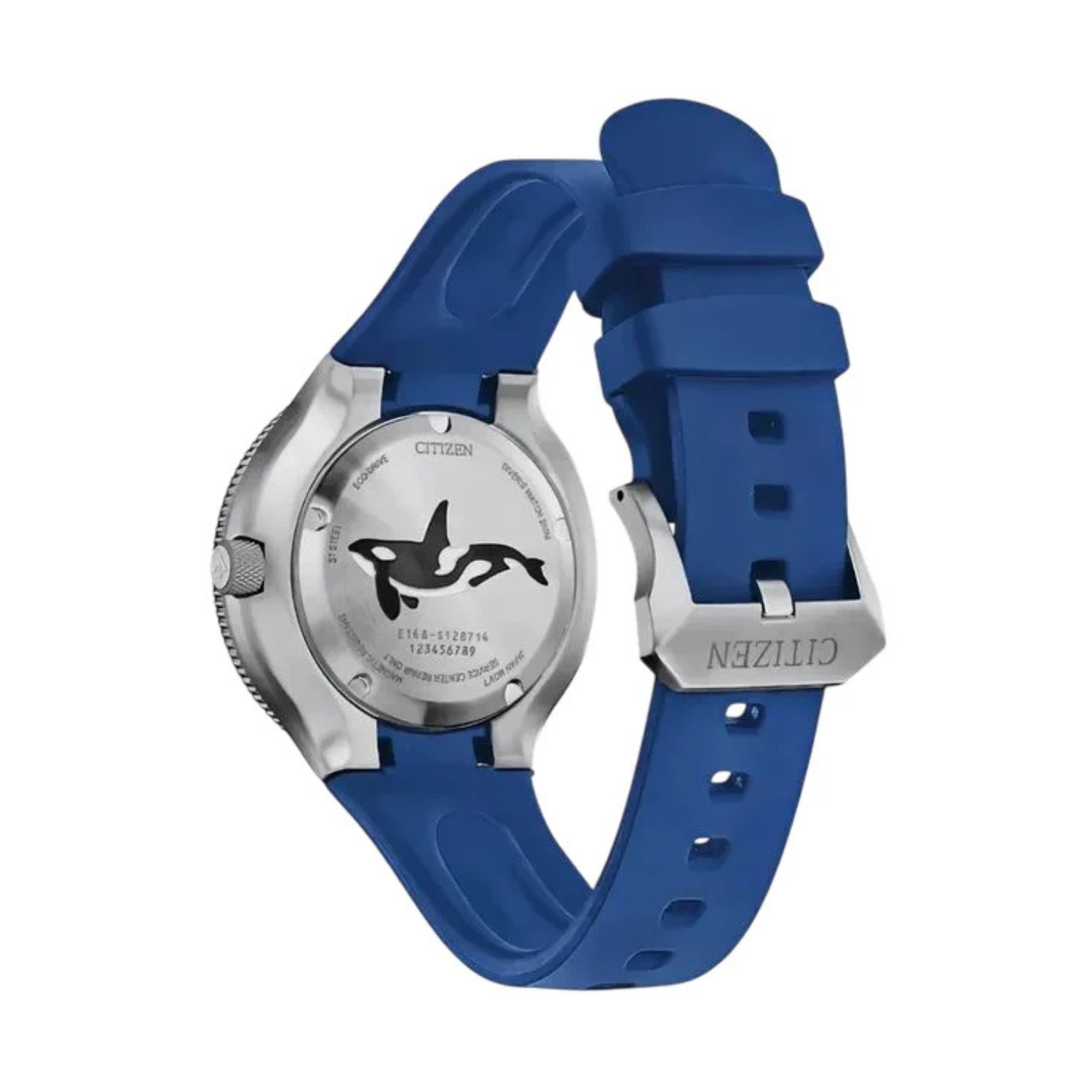 BN0238-02L Eco-Drive Orca Promaster Citizen ラジオコントロール オーバル型掛時計 CITIZEN - Impala Relojoaria インテリア時計