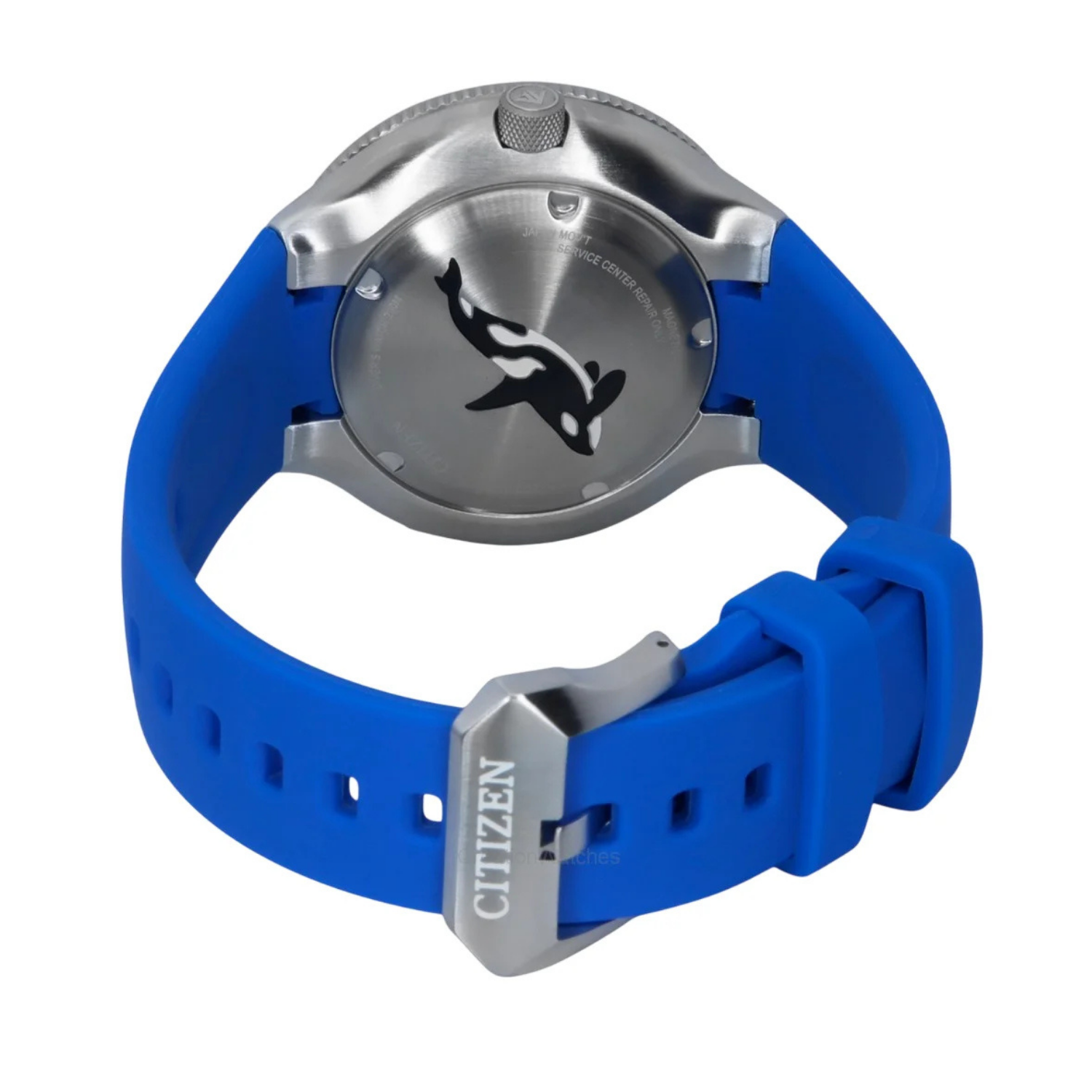 Citizen Promaster Orca Eco-Drive BN0238-02L - Relojoaria Impala