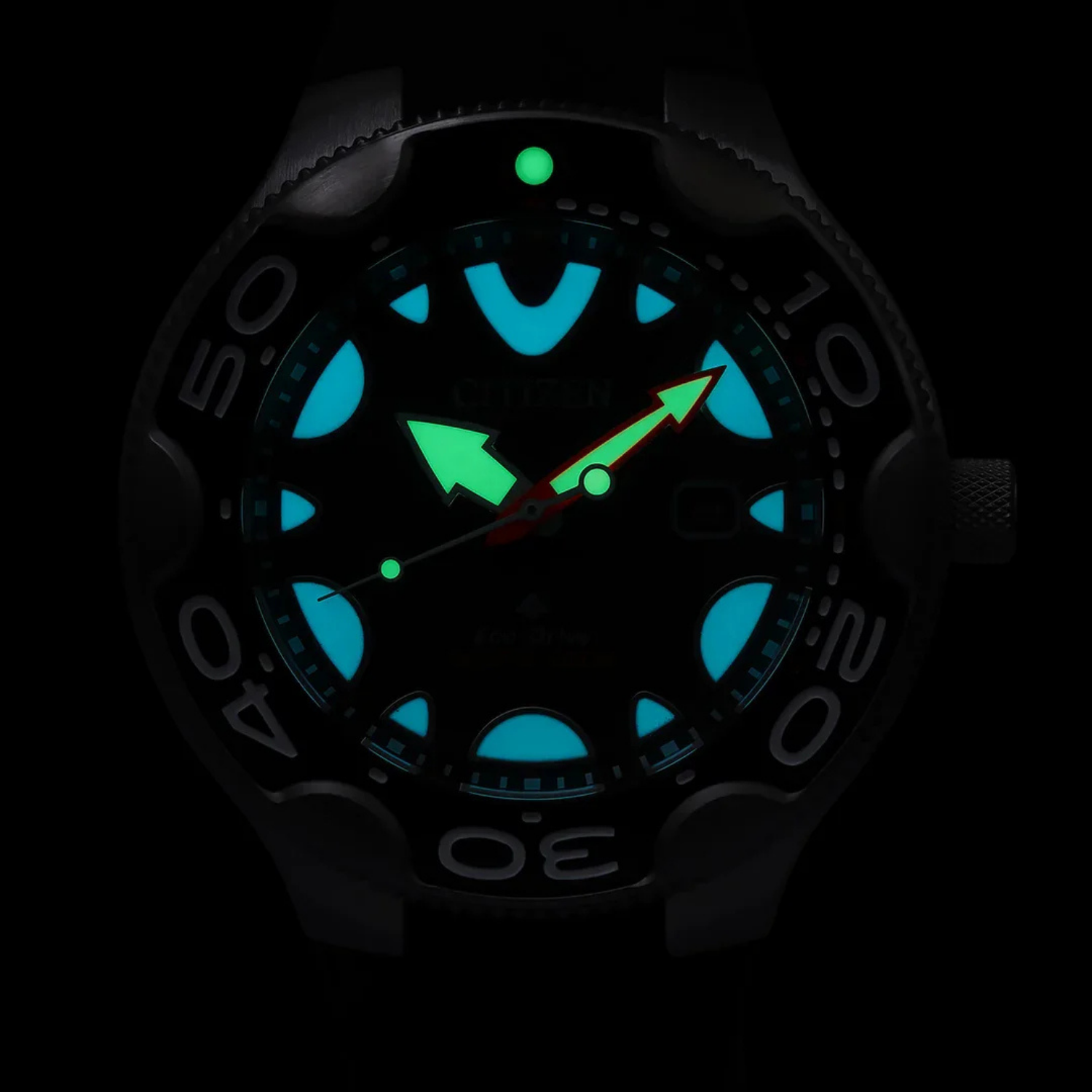 Citizen Promaster Orca Eco-Drive BN0238-02L - Relojoaria Impala