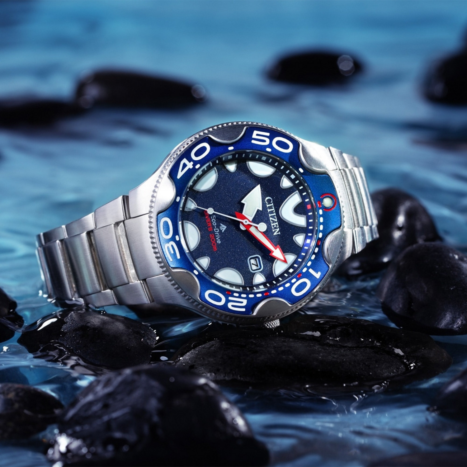 Citizen Promaster Orca Eco-Drive BN0231-52L - Relojoaria Impala