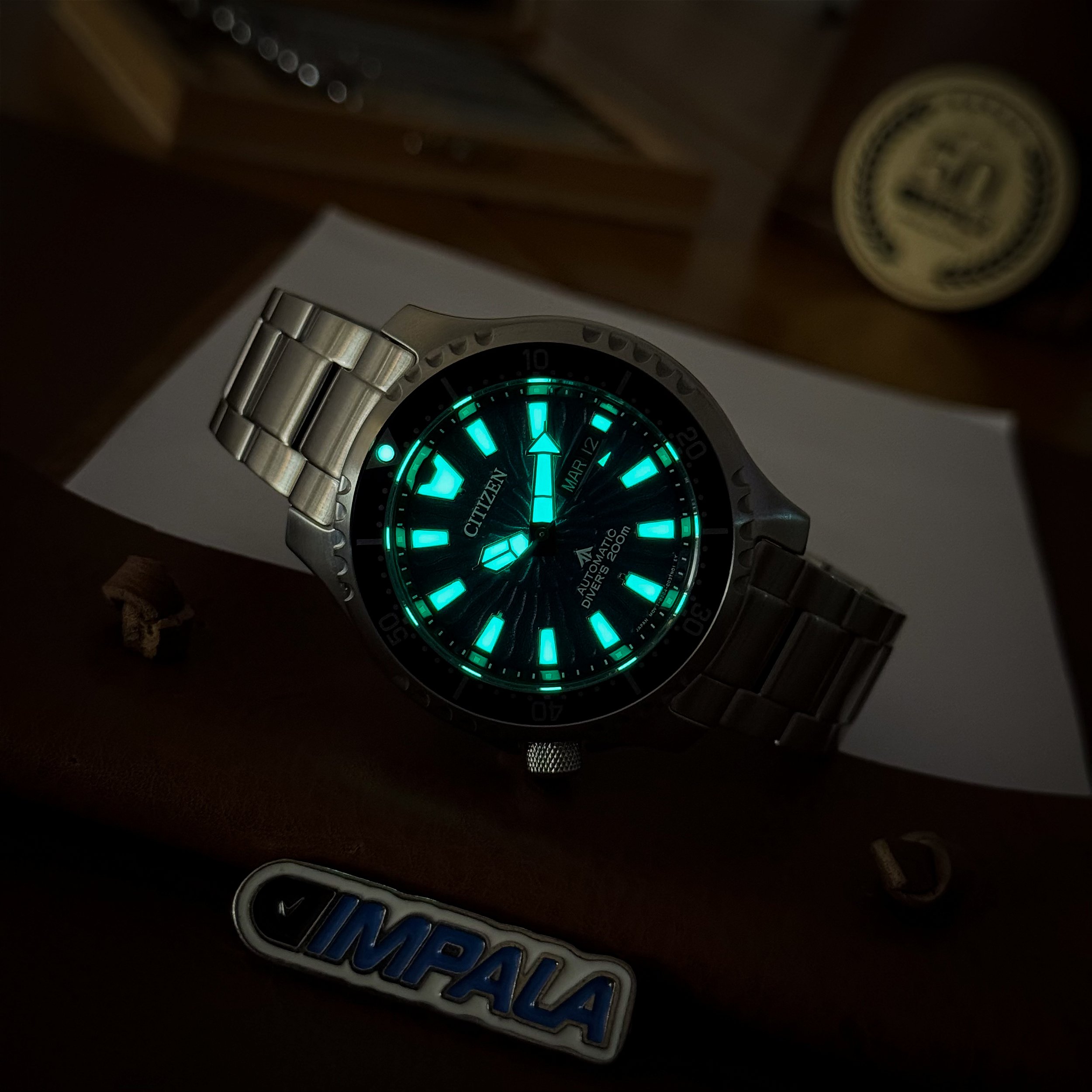 Citizen Promaster Fugu NY0136-52L – Clássico de mergulho
