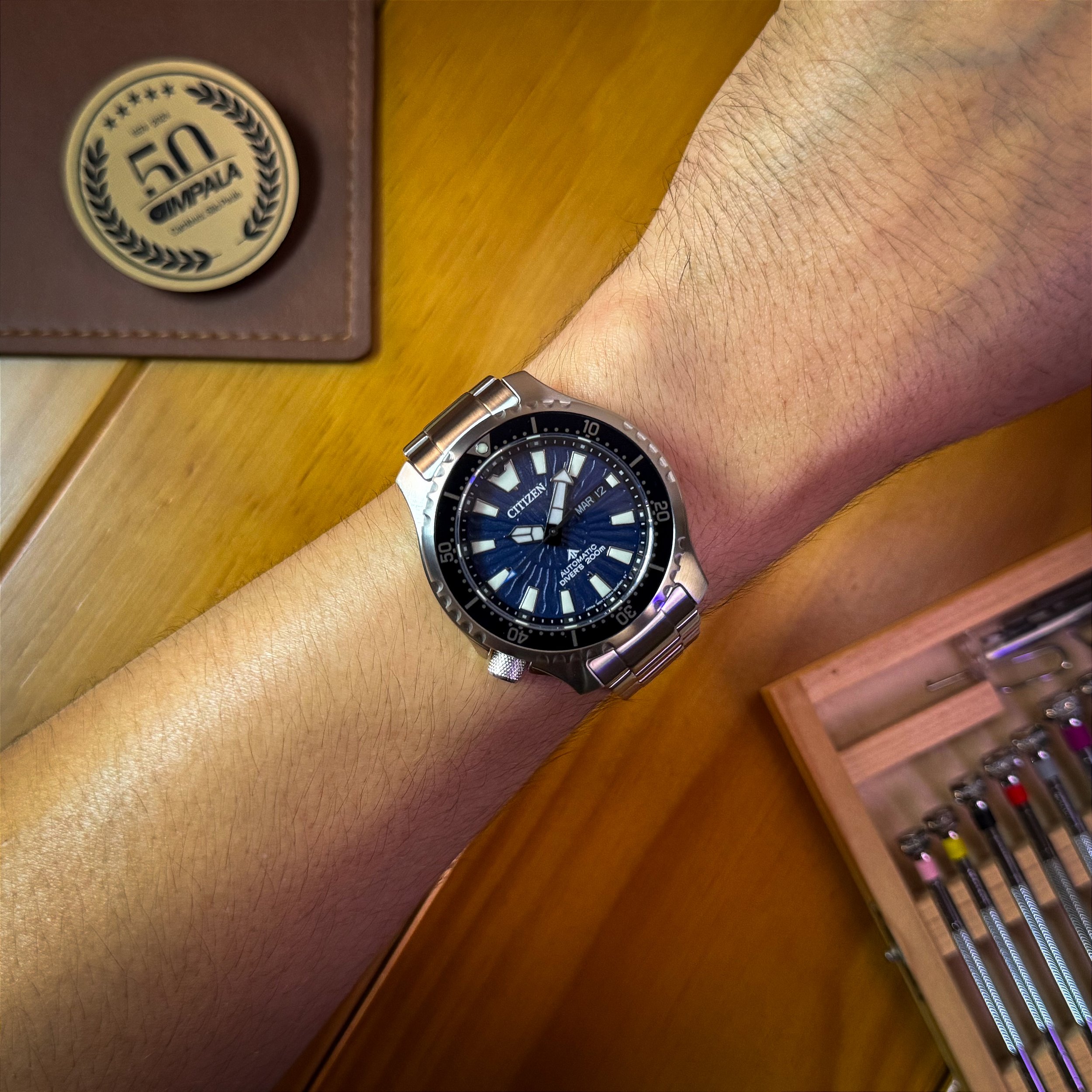 Citizen Promaster Fugu NY0136-52L – Clássico de mergulho