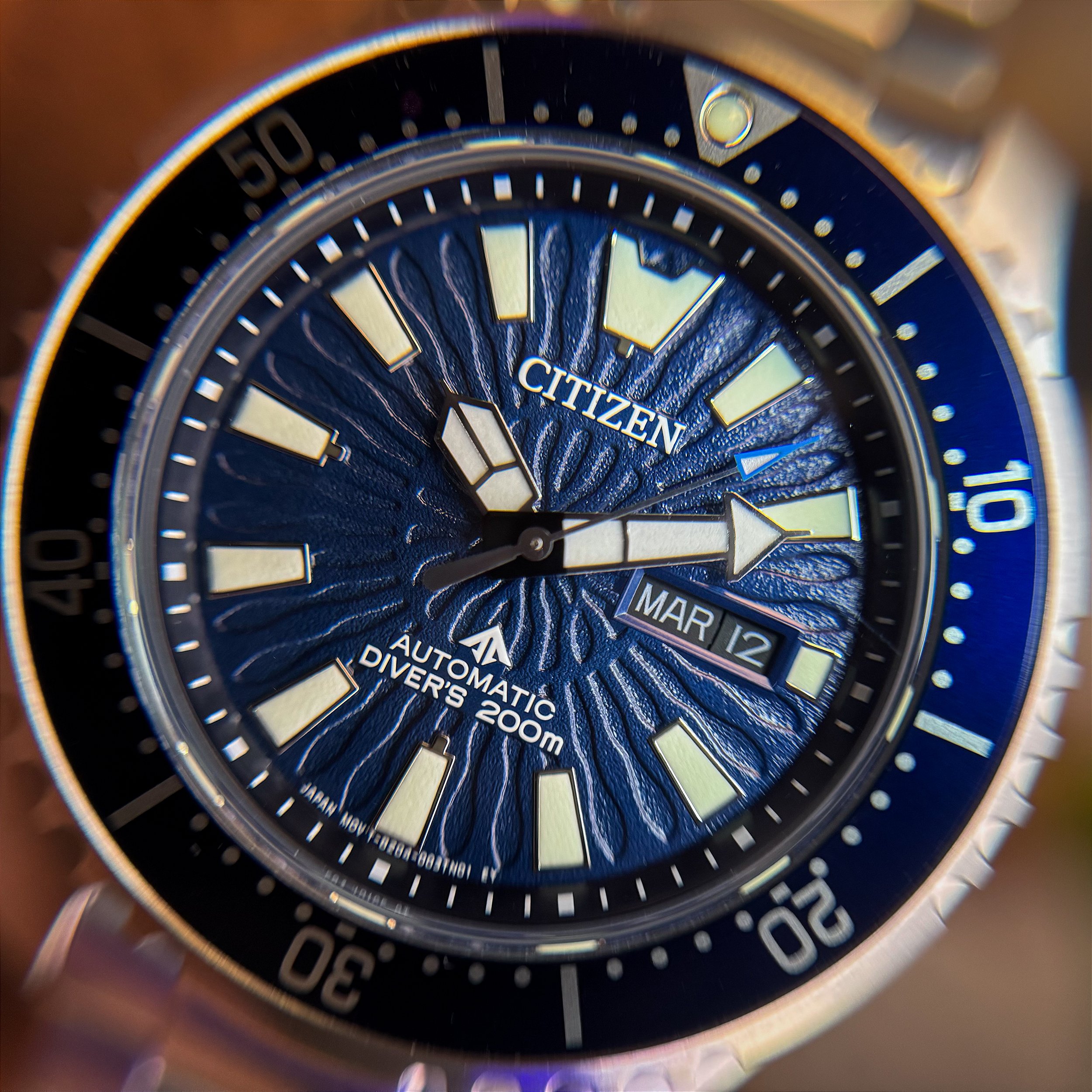 Citizen Promaster Fugu NY0136-52L – Clássico de mergulho