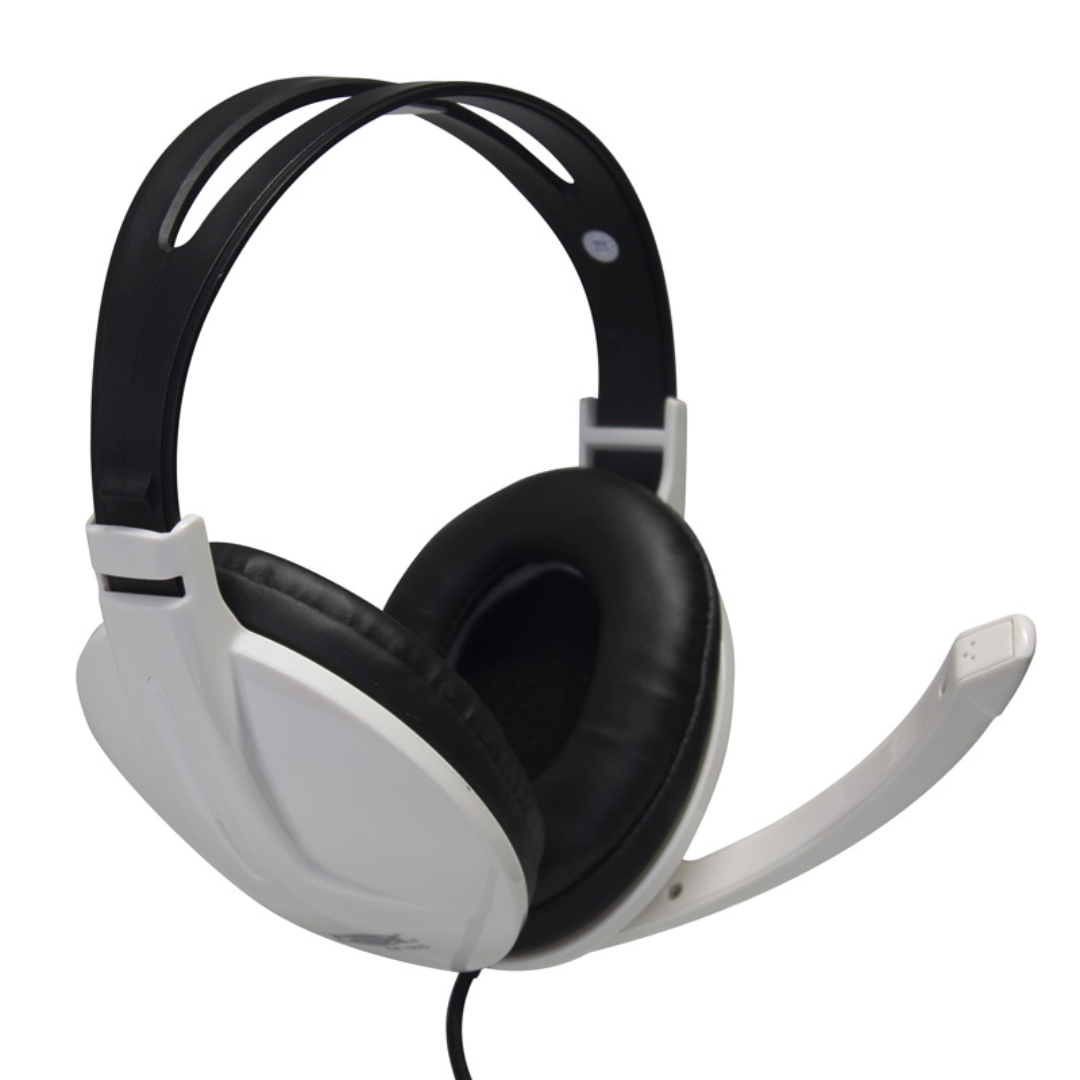 Fone de Ouvido com Microfone Headset P2 PC e Notebook DF-300 Branco - Sua  compra rápida e segura 24 horas na internet !