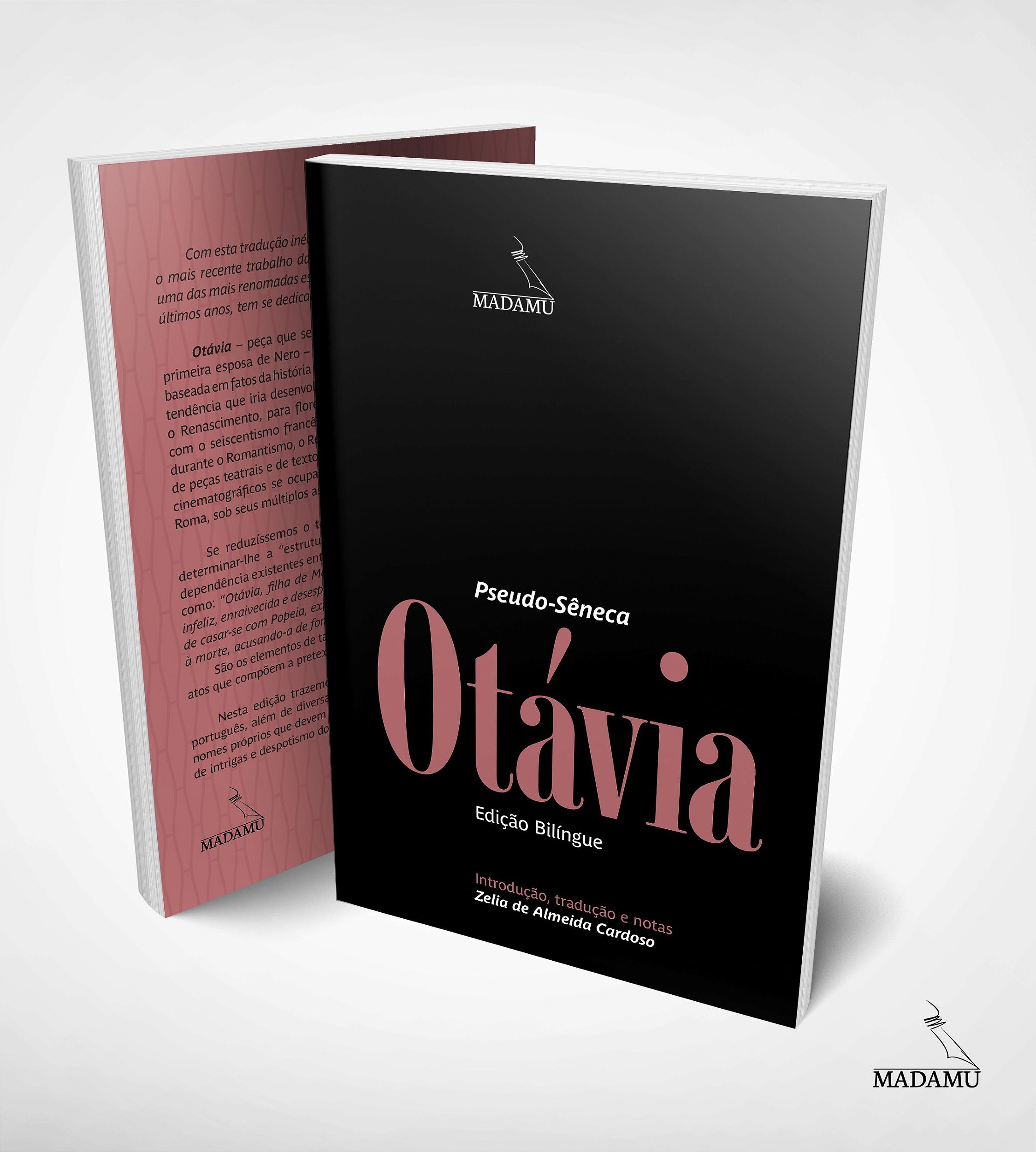 Coleção 10 V - Livro 5 - Português - Professor by Editora Elabore