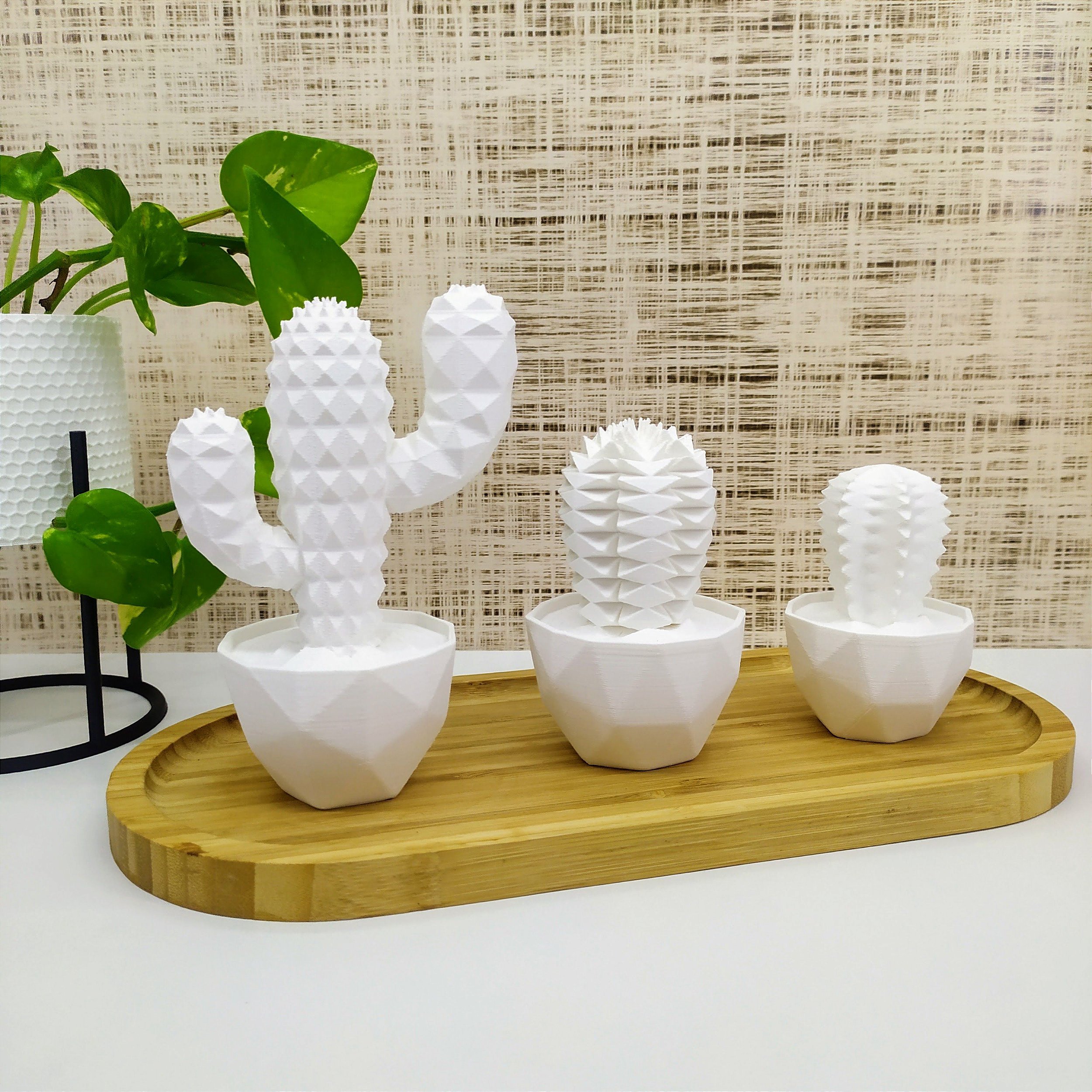 coleção de cactos e plantas da casa com caretas. conjunto de vasos