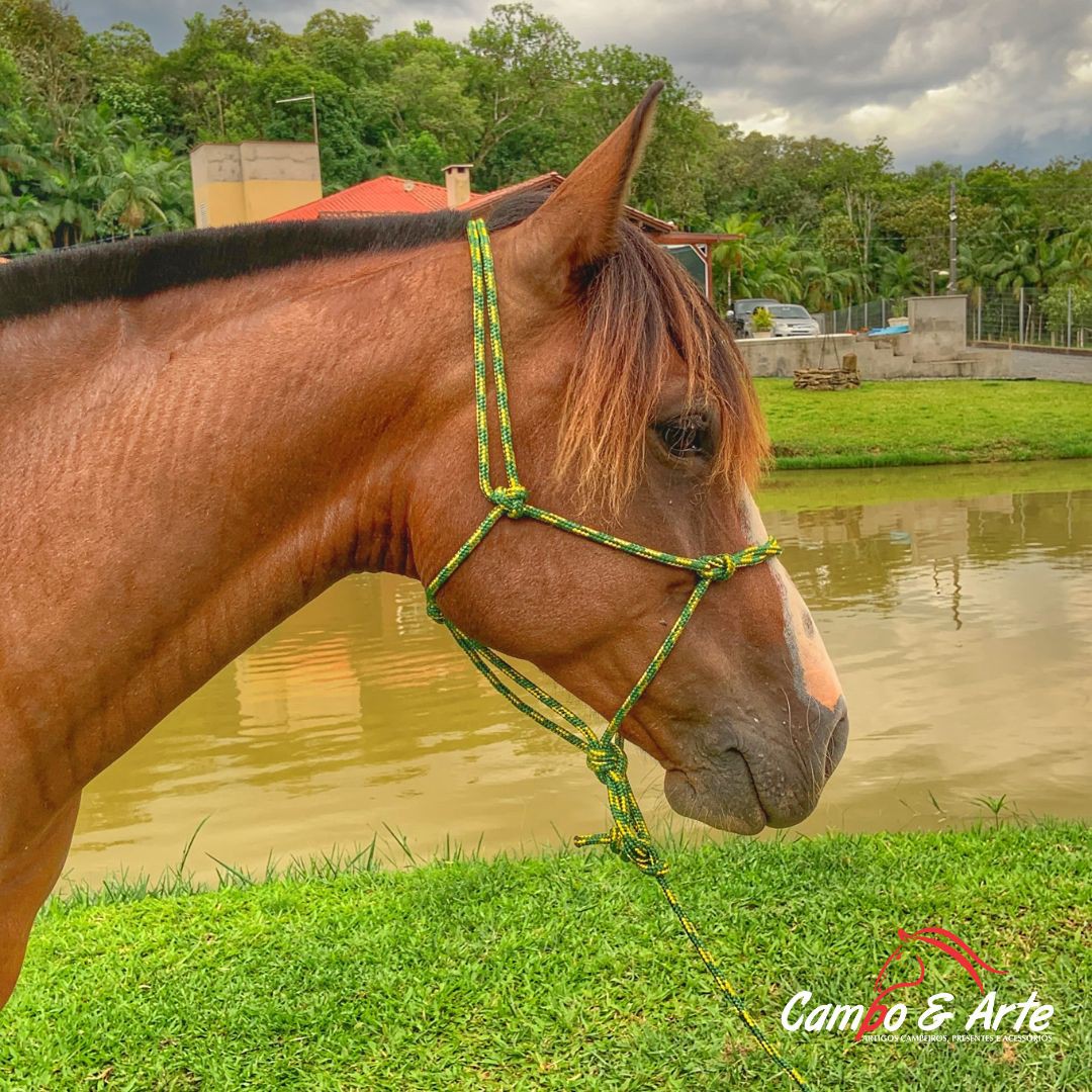 Buçal com Cabresto para cavalos