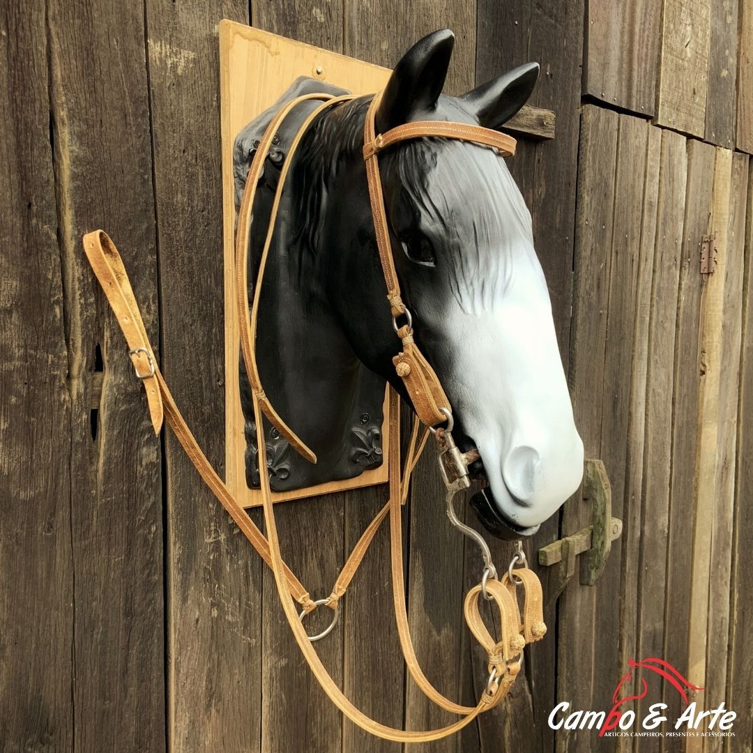 Rédea Cabeçada E Peiteira Traia De Frente Cavalo Crioulo