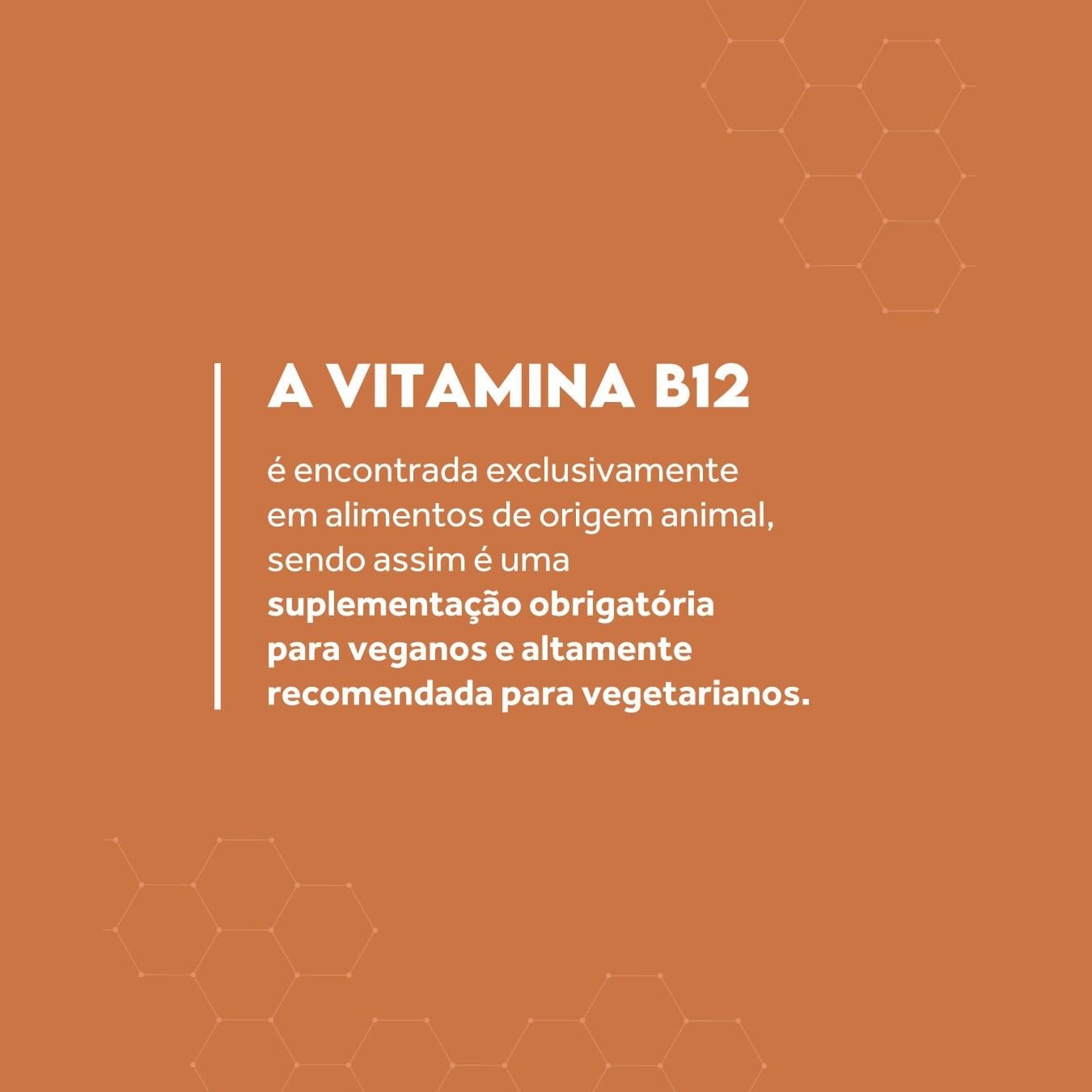 Kit 2x Vitamina B12 Drops Metilcobalamina Puravida 20ml BS Nutrition Distribuindo sabor e