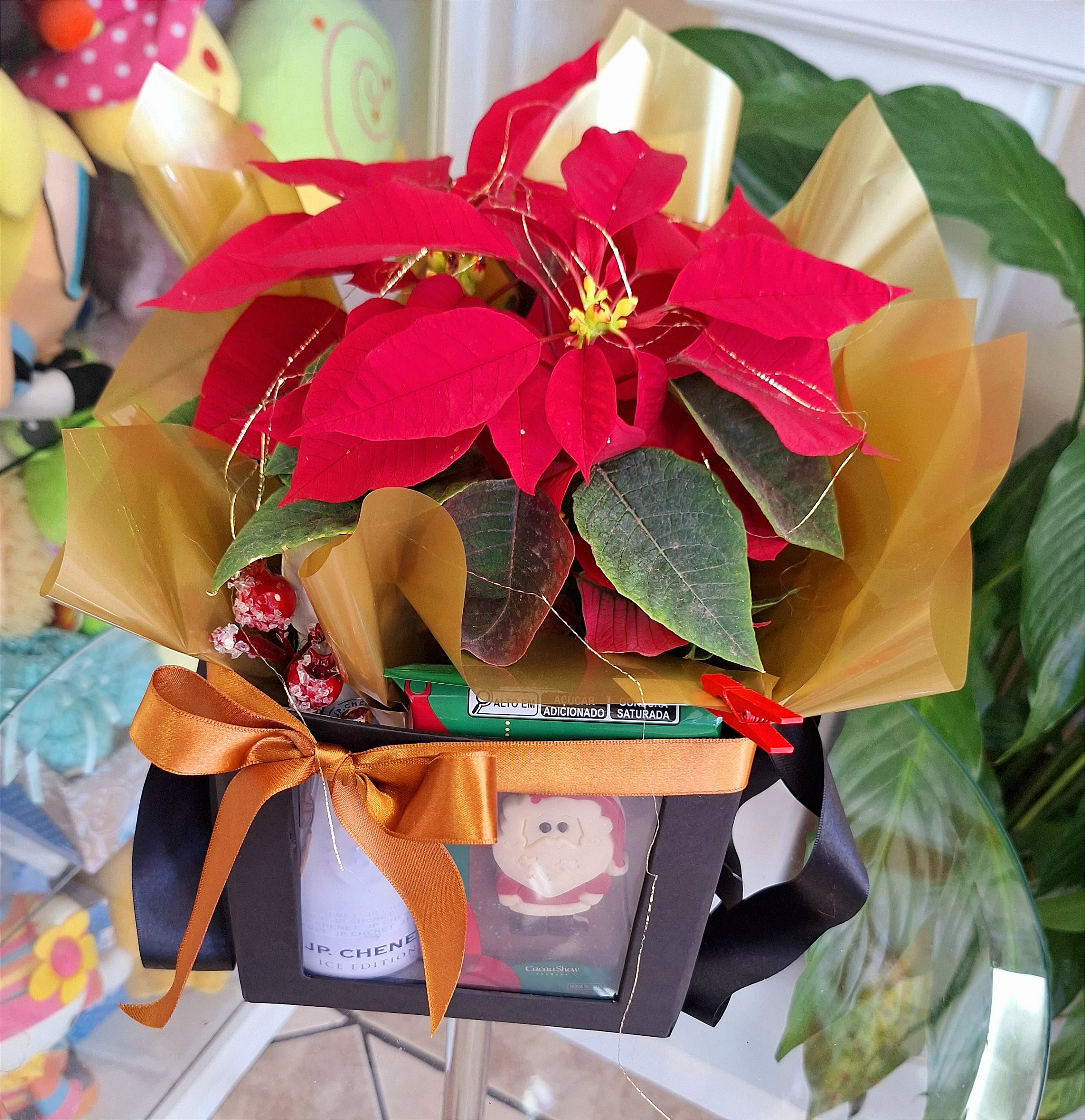 Kit de Natal - Floricultura Mazzolin Di Fiori