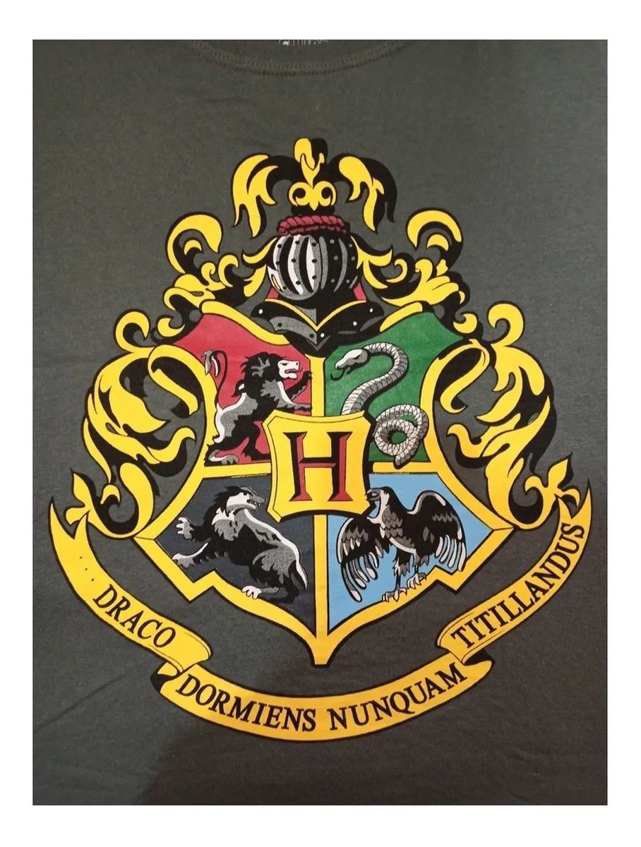 Camiseta Harry Potter Logo Casas Asfalto TAM G - Bem Boa Presentes - da  lembrancinha ao presentão