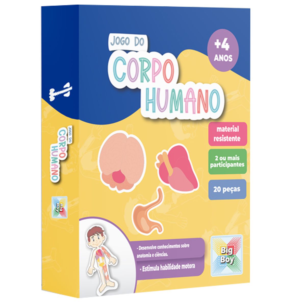 Brinquedo Pedagógico Conheça o Corpo Humano Brincadeira de Criança