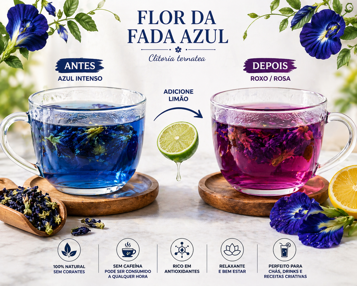 FLOR DA FADA AZUL INTEIRA DESIDRATADA (Blue Butterfly - Clitoria Tern ...