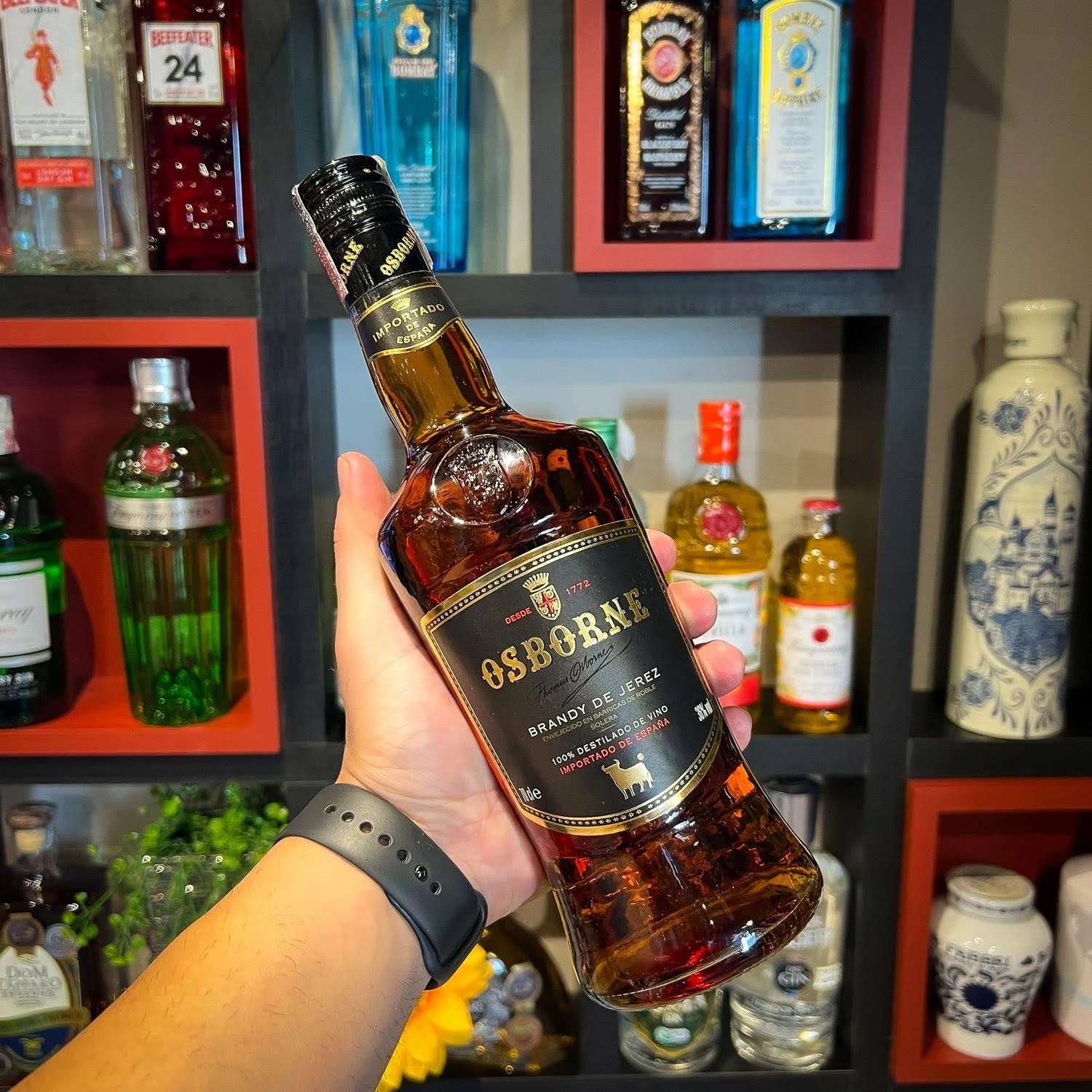 Conhaque Brandy de Jerez Osborne 700ml Dose Online Bebidas Dose