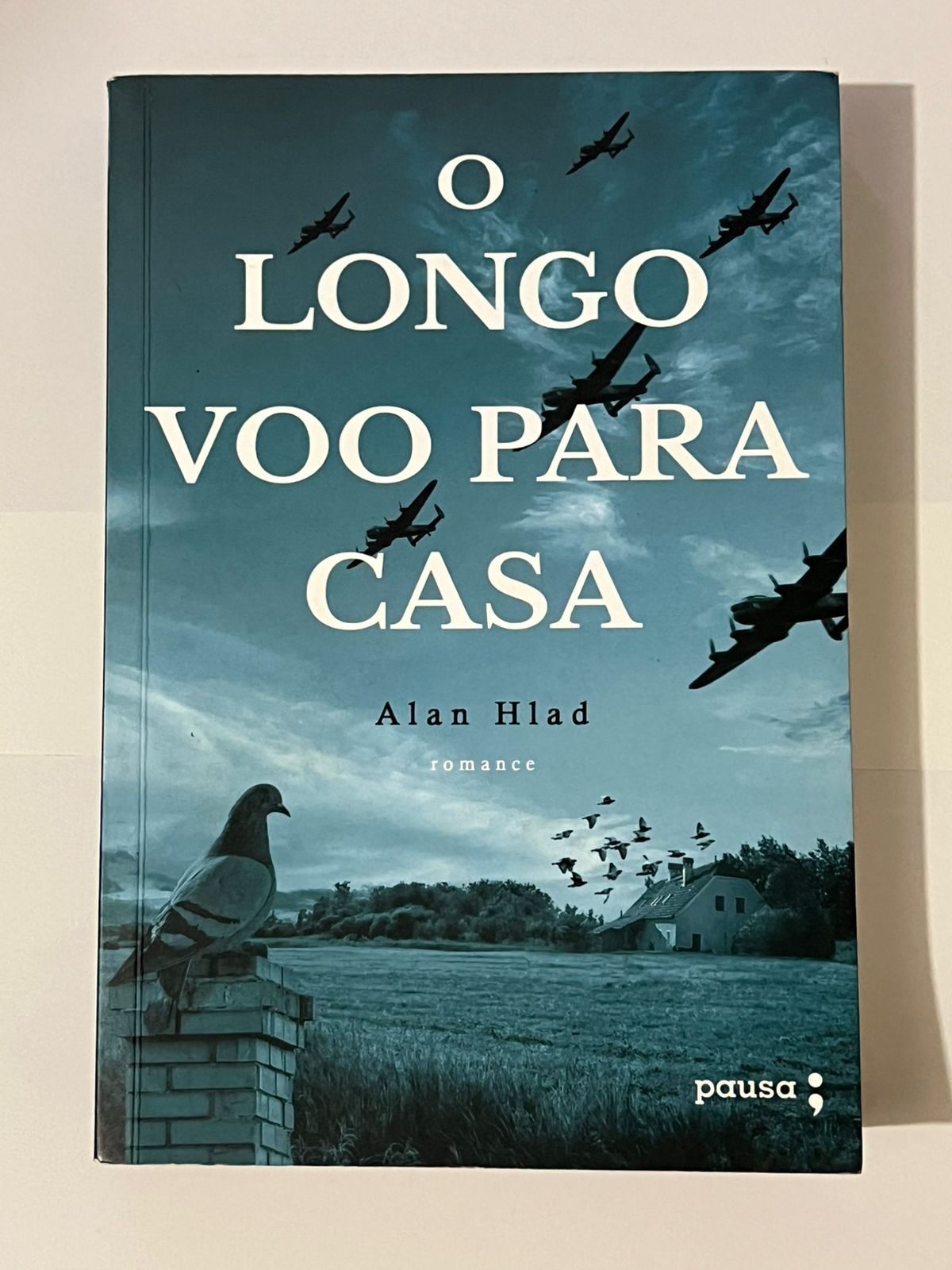 O Longo Voo Para Casa Alan Hlad Seboterapia Livros O Longo Voo Para Casa Alan Hlad Seboterapia Livros
