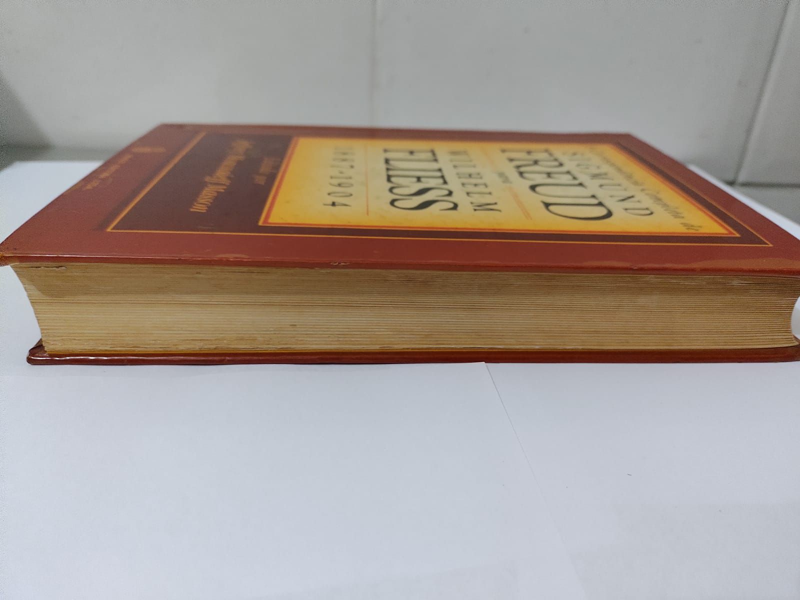 A Correspondência Completa de Sigmund Freud para Wilhelm Fliess (1887