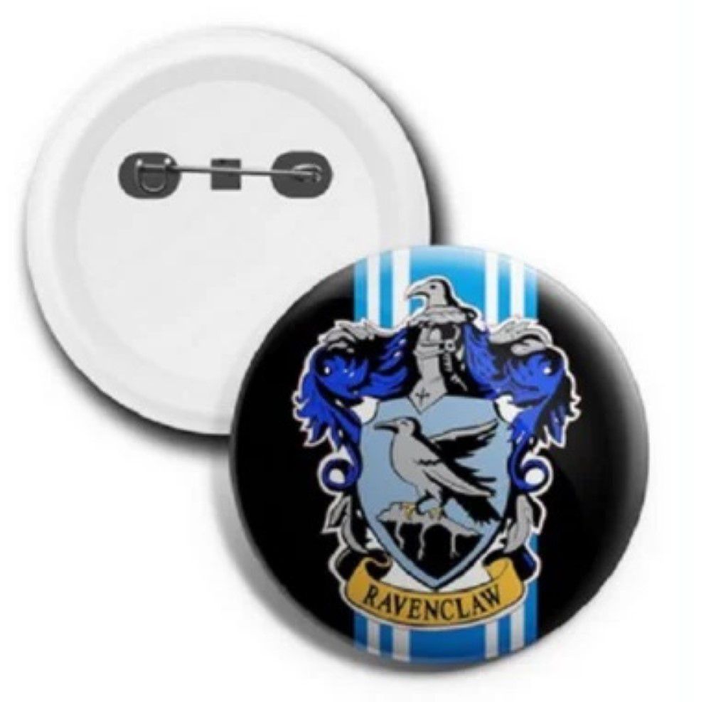 Corvinal - Hogwarts em 2023  Corvinal, Hogwarts, Ravenclaw