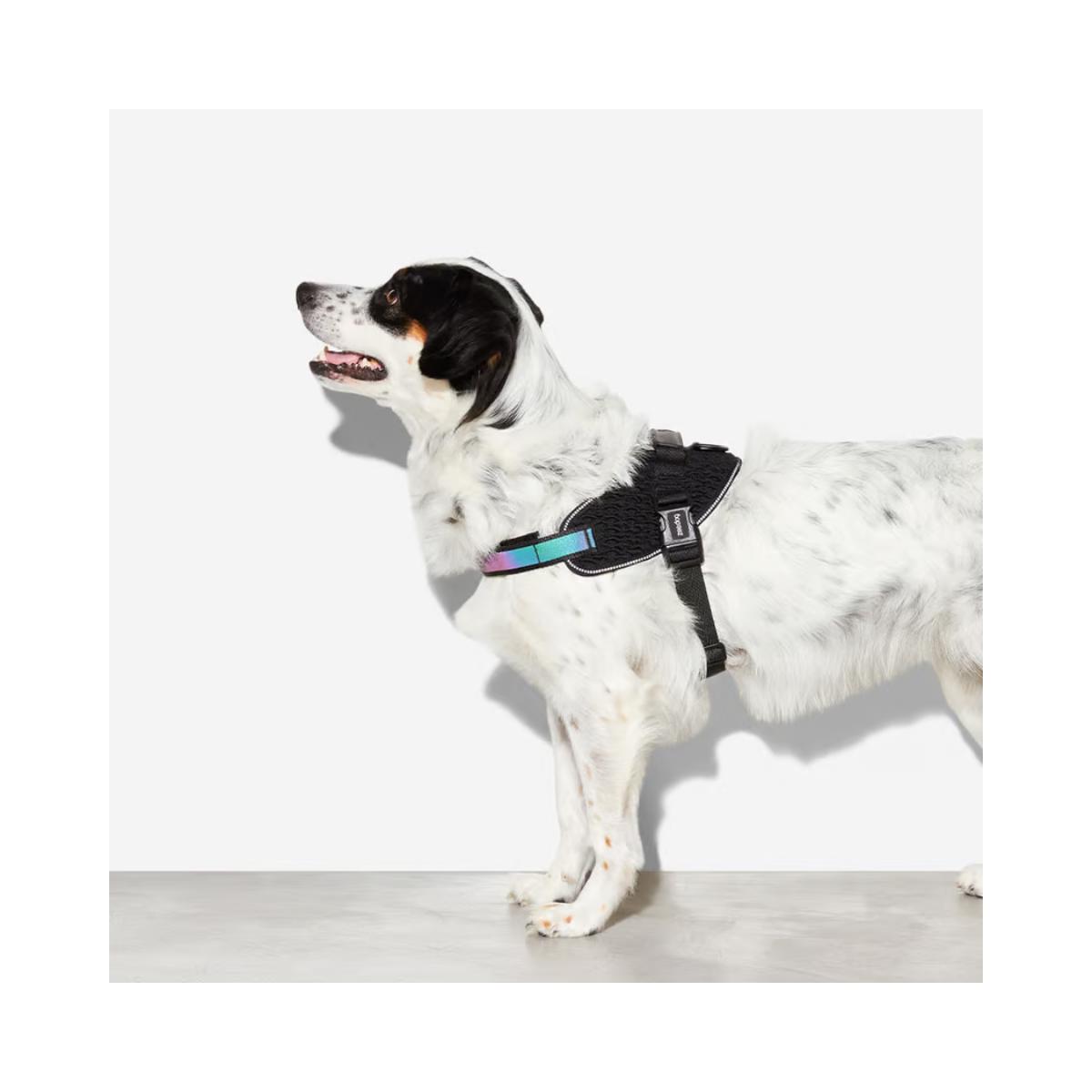 Coleira Peitoral Com Alça Detalhes RefletivosGothan Zee Dog