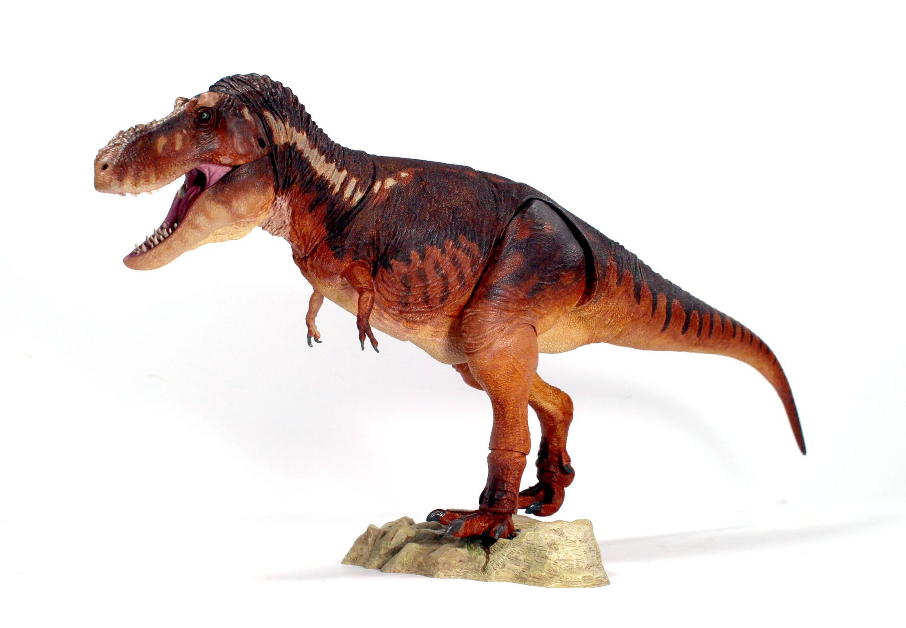 1:35 Tiranossauro Rex Alpha Dinossauros Animais Pré-históricos Coleção de  Brinquedos Boneca Mandíbula Móvel (Cor: Verde)