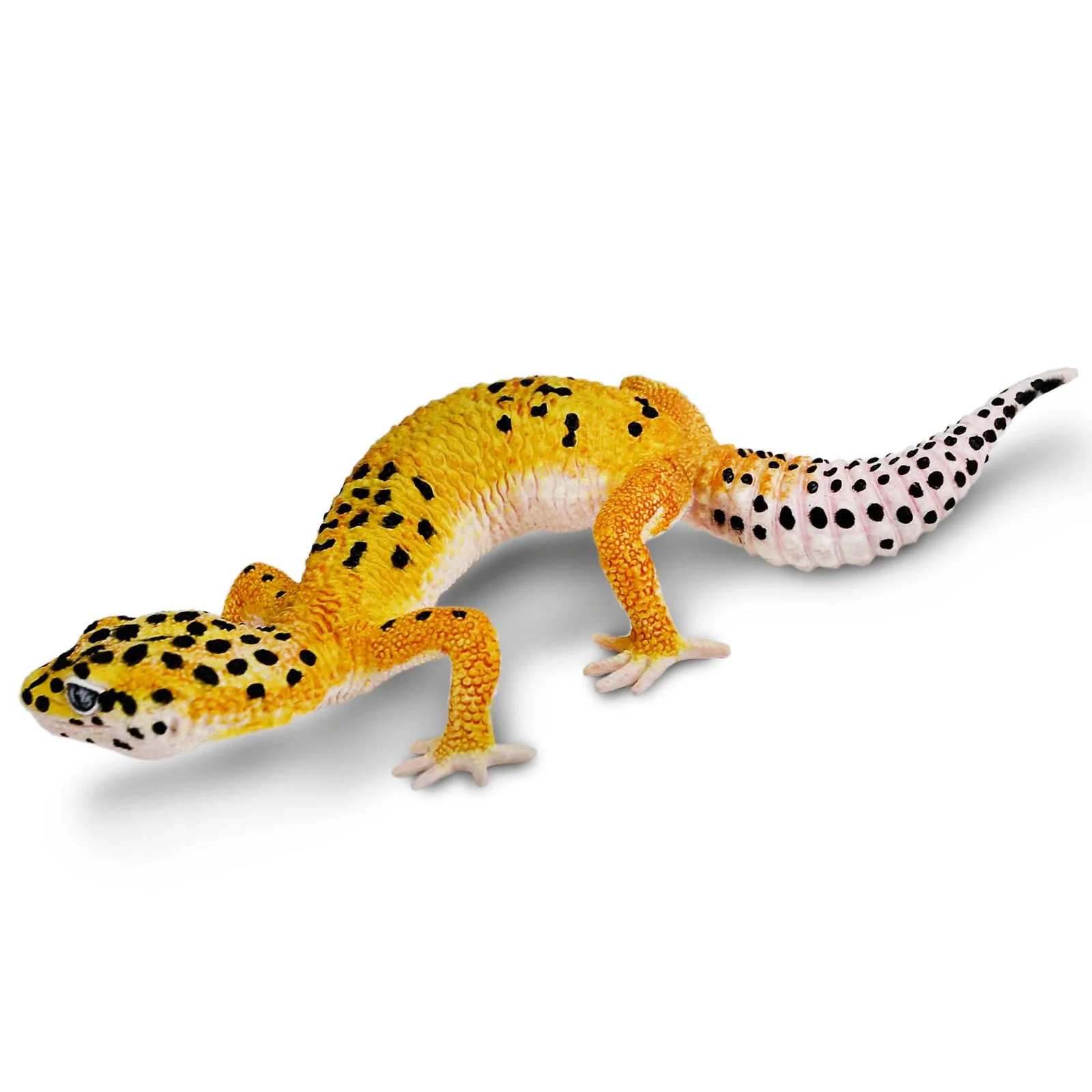 LAGARTIXA LEOPARDO SAFARI LTD INCREDIBLE CREATURES MINIATURA - Dinoloja ...