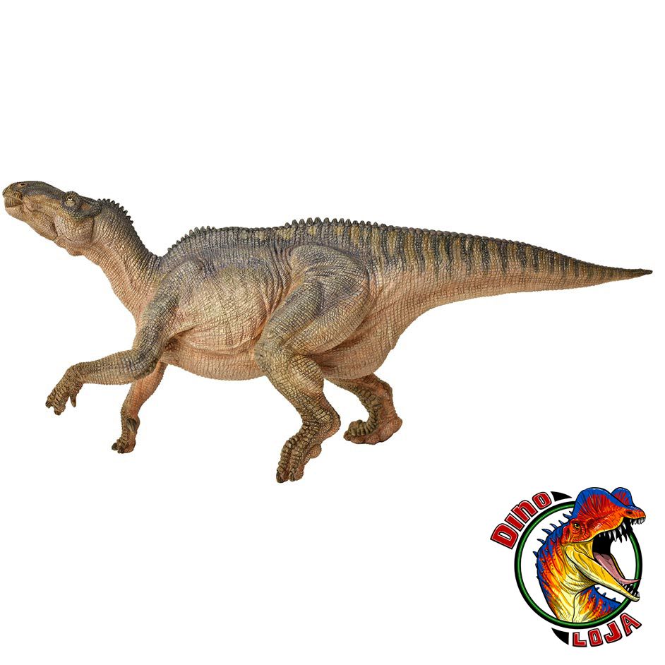 CERATOSSAURO PAPO MINIATURA BRINQUEDO DE DINOSSAURO RÉPLICA IMPORTADA -  Dinoloja - A melhor loja de dinossauros de coleção do Brasil!