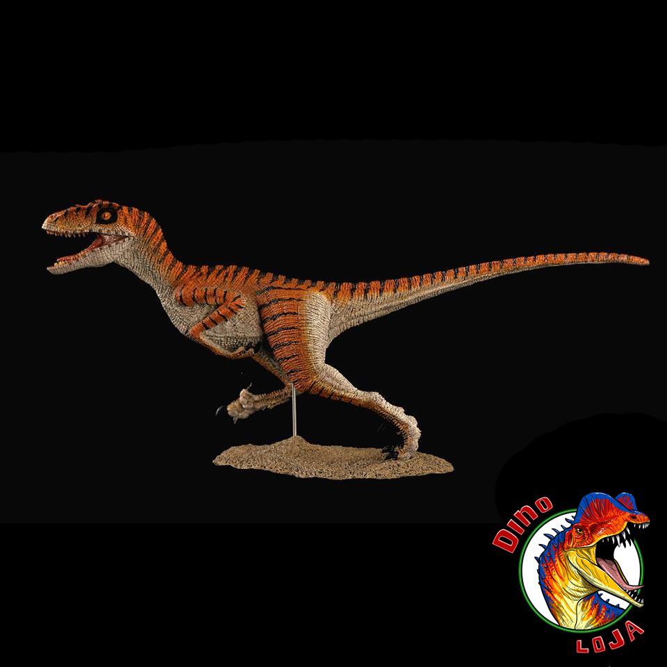 Deinonychus Um Dinossauro Realista Em 6 Poses Diferentes