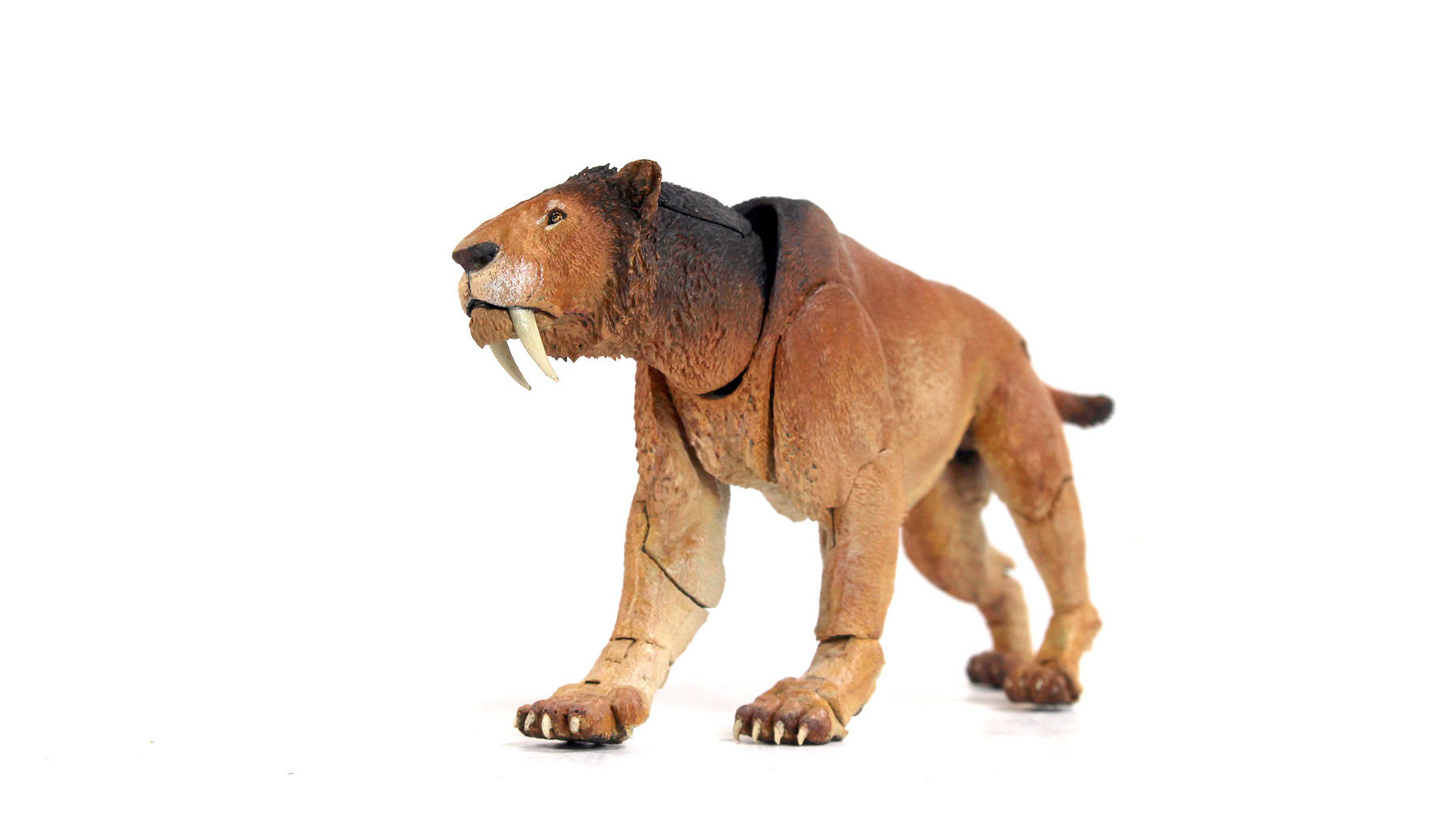 SMILODON POPULATOR MARROM 1/18 BEASTS OF THE CENOZOIC TIGRE DENTES